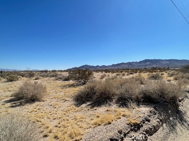 33255 Minneola Road Newberry Springs, CA 92365 - Photo 5 of 29