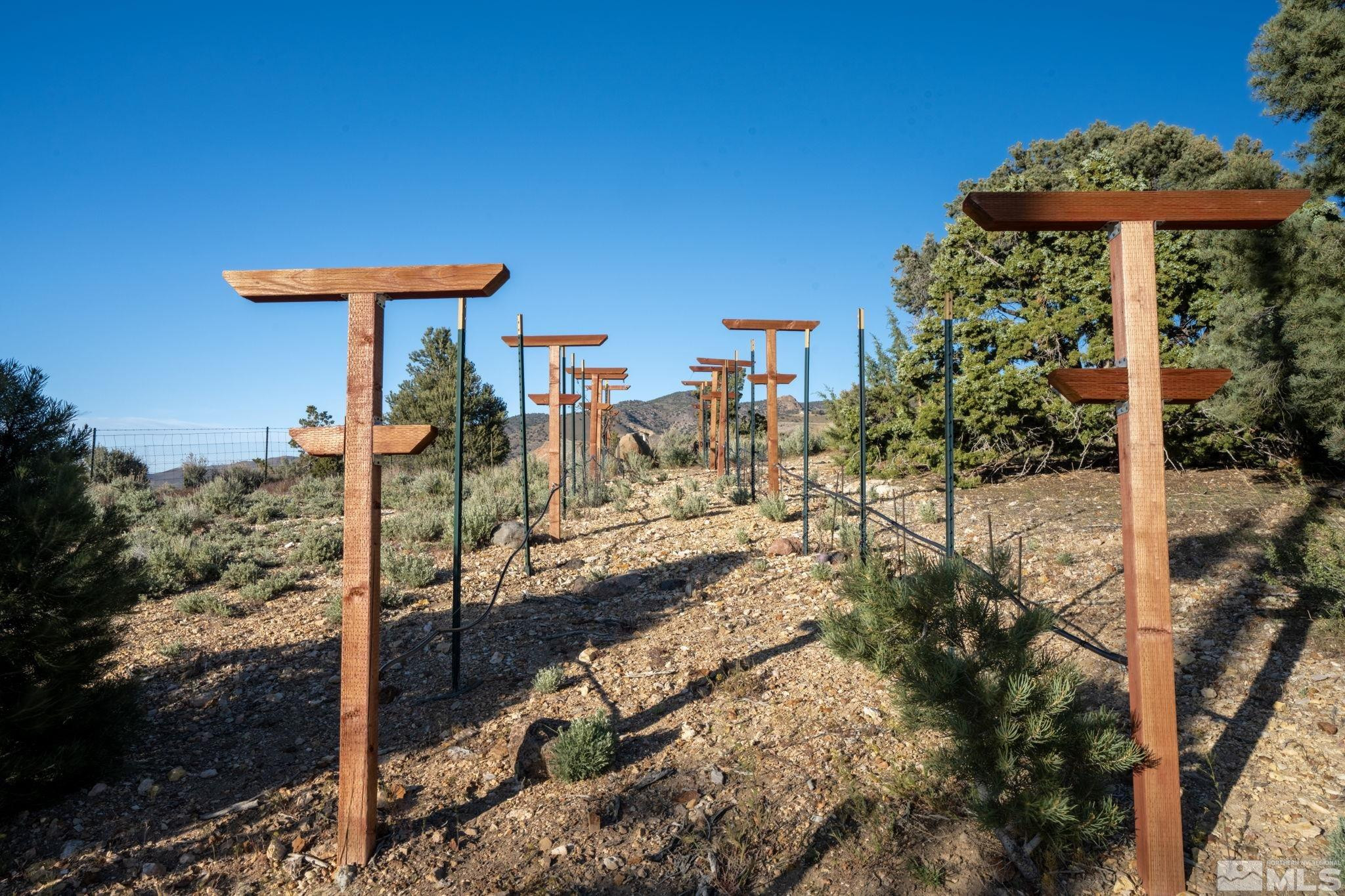 15350 Yankee Blade Road Reno, NV 89521 - Photo 20 of 27 a view of a house with yard and sitting area