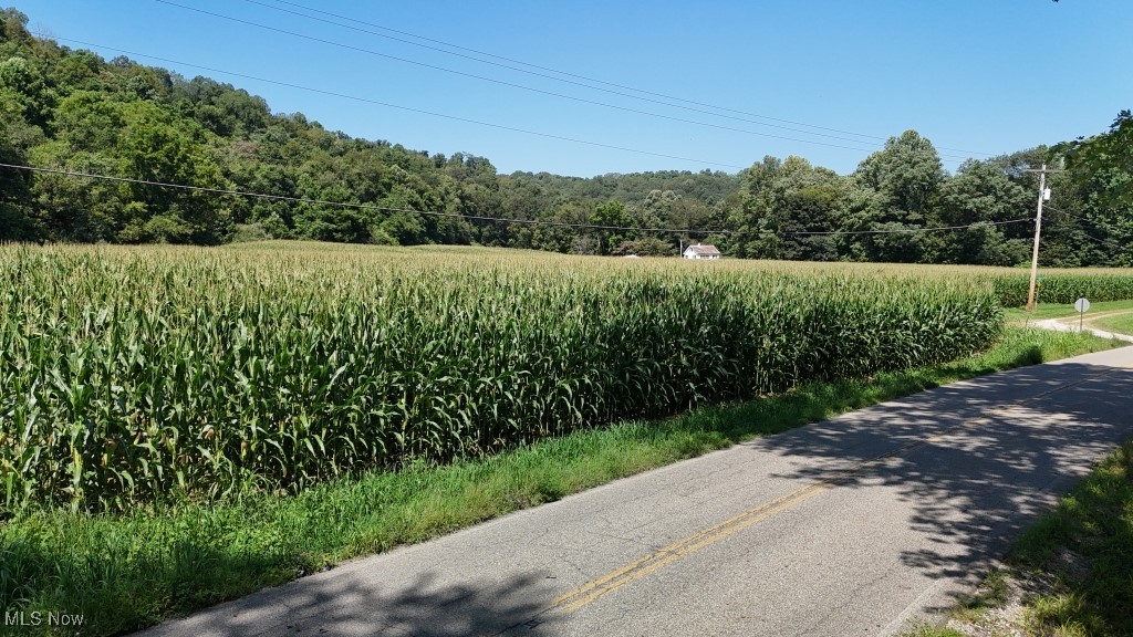 75 South River Road Southeast Malta, OH 43758 - Photo 2 of 48