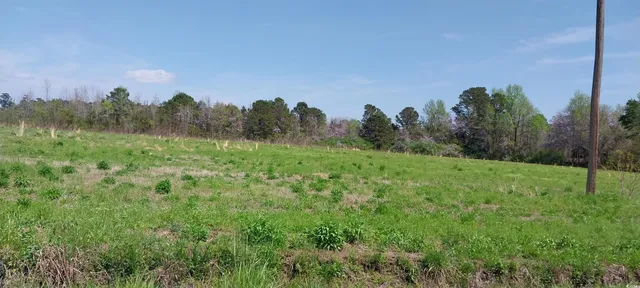 $85,000 | 1 B Davis Lane, Mullins, SC 29574