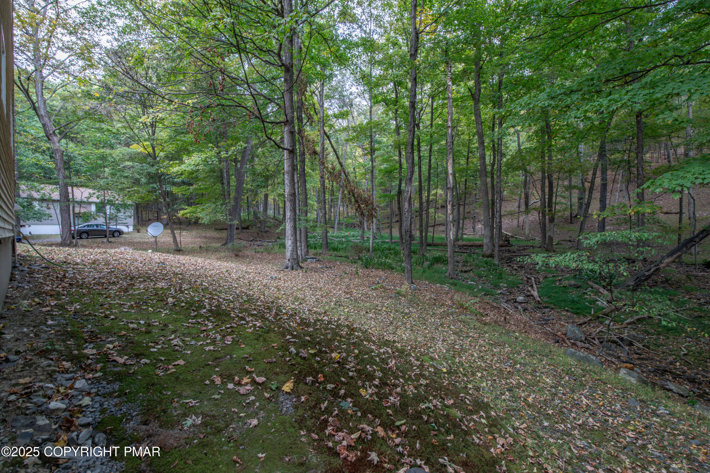 326 Otter Court Bushkill, PA 18324 - Photo 4 of 47 a view of a forest with trees in the background