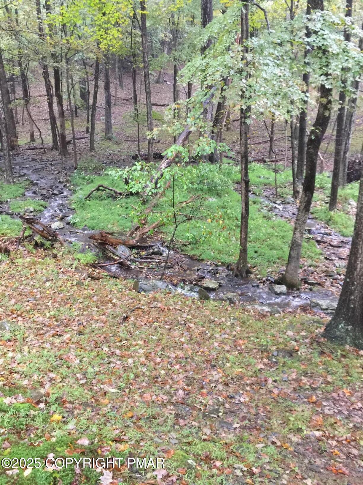 326 Otter Court Bushkill, PA 18324 - Photo 46 of 47 a view of a backyard with large trees and plants