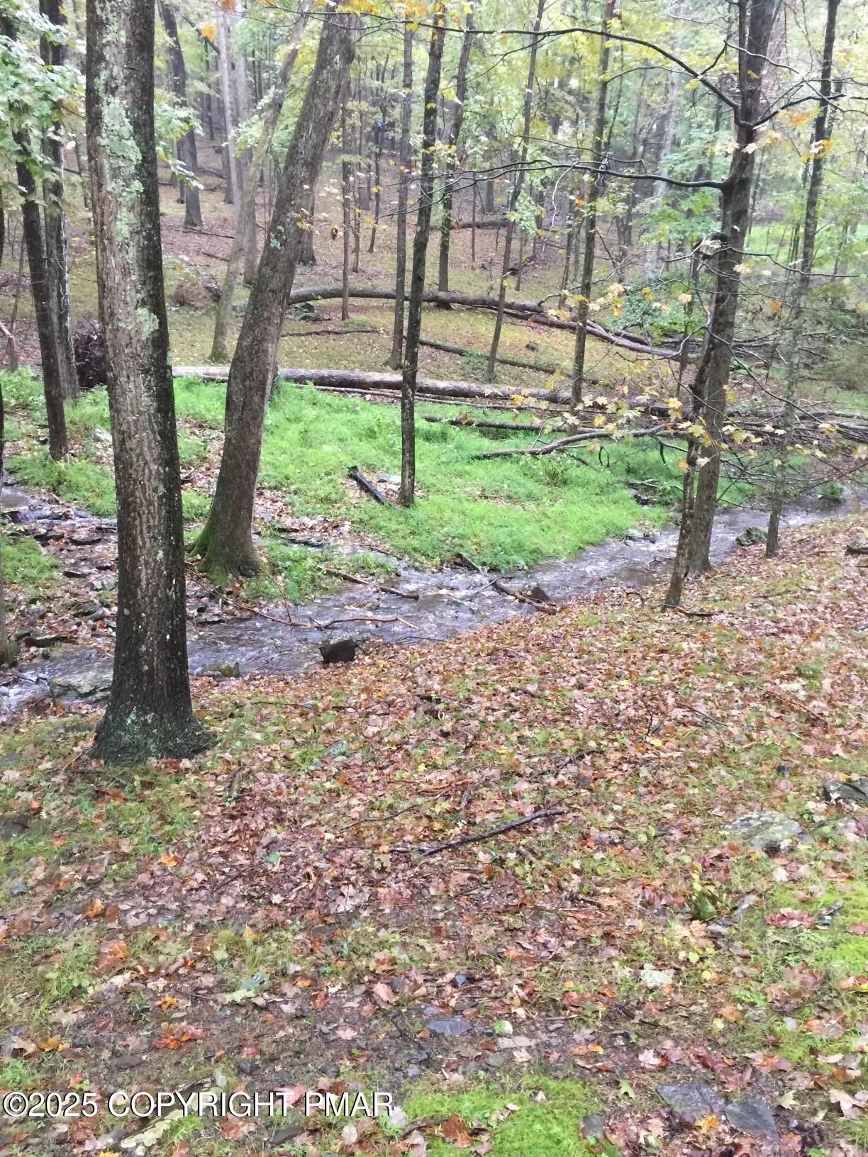 326 Otter Court Bushkill, PA 18324 - Photo 47 of 47 a view of a yard with a tree