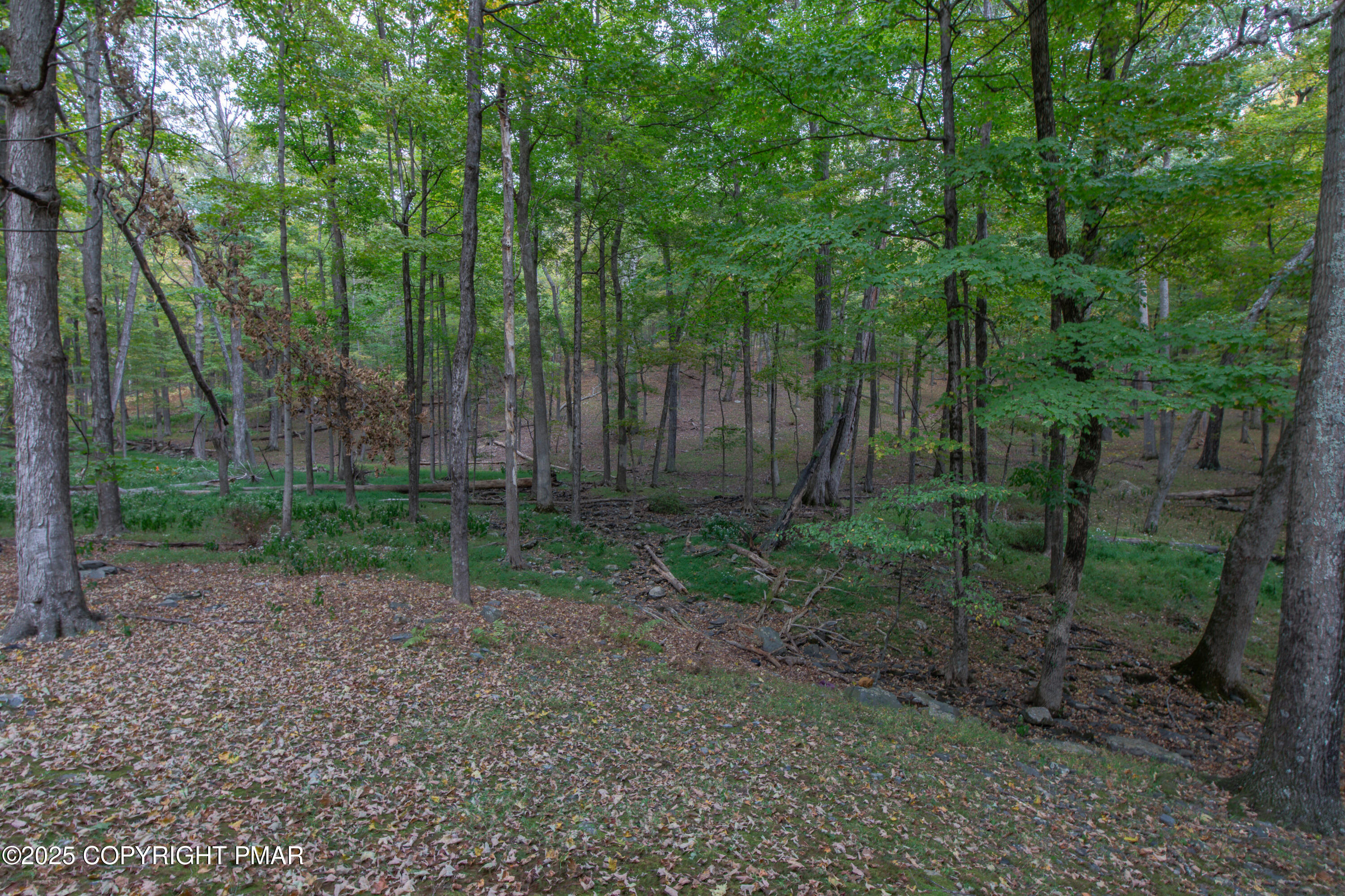 326 Otter Court Bushkill, PA 18324 - Photo 7 of 47 0A5A2054-HDR