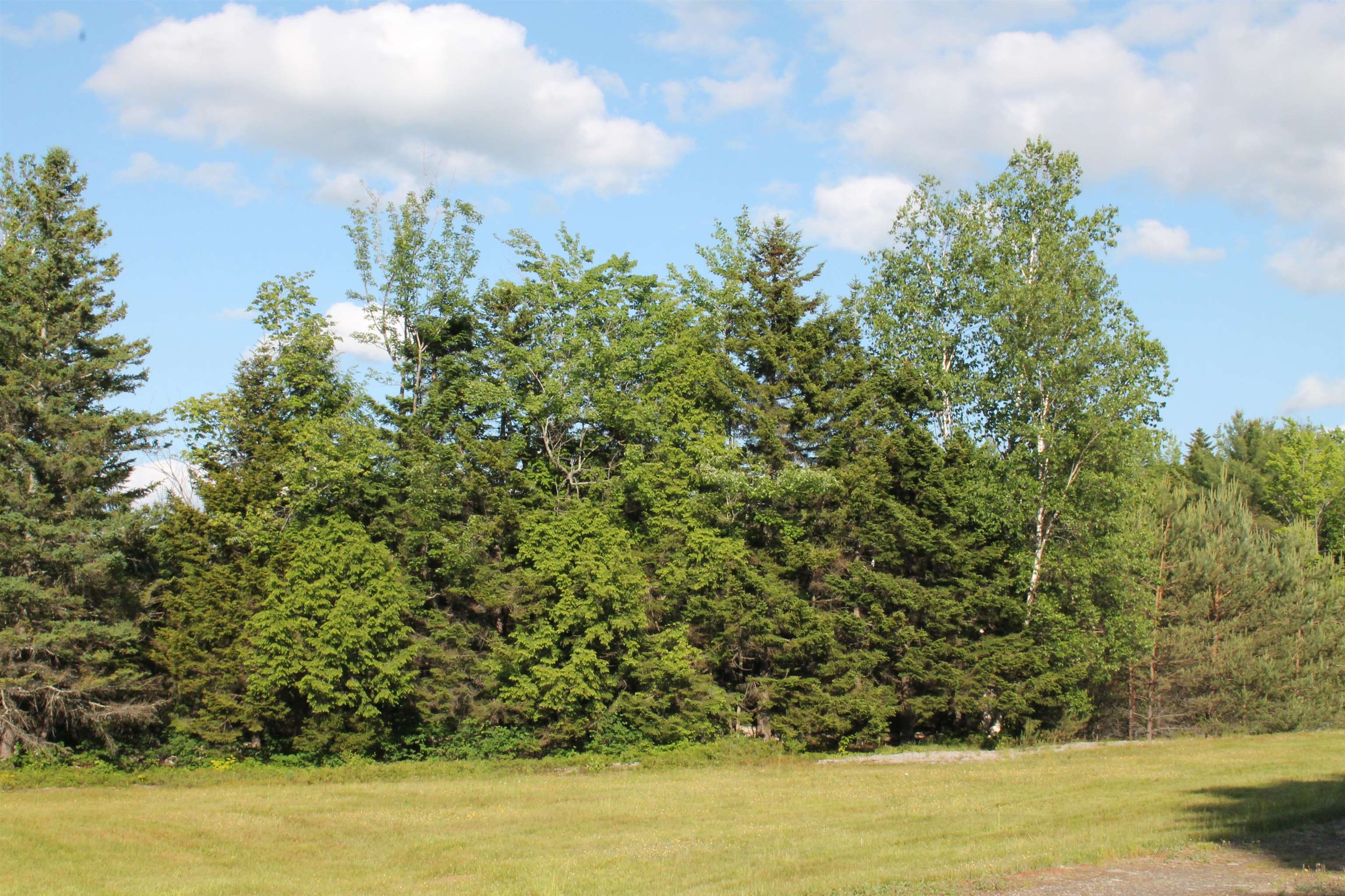 230 Gorham Hill Road Gorham, NH 03581 - Photo 36 of 39 Gallery Image 36