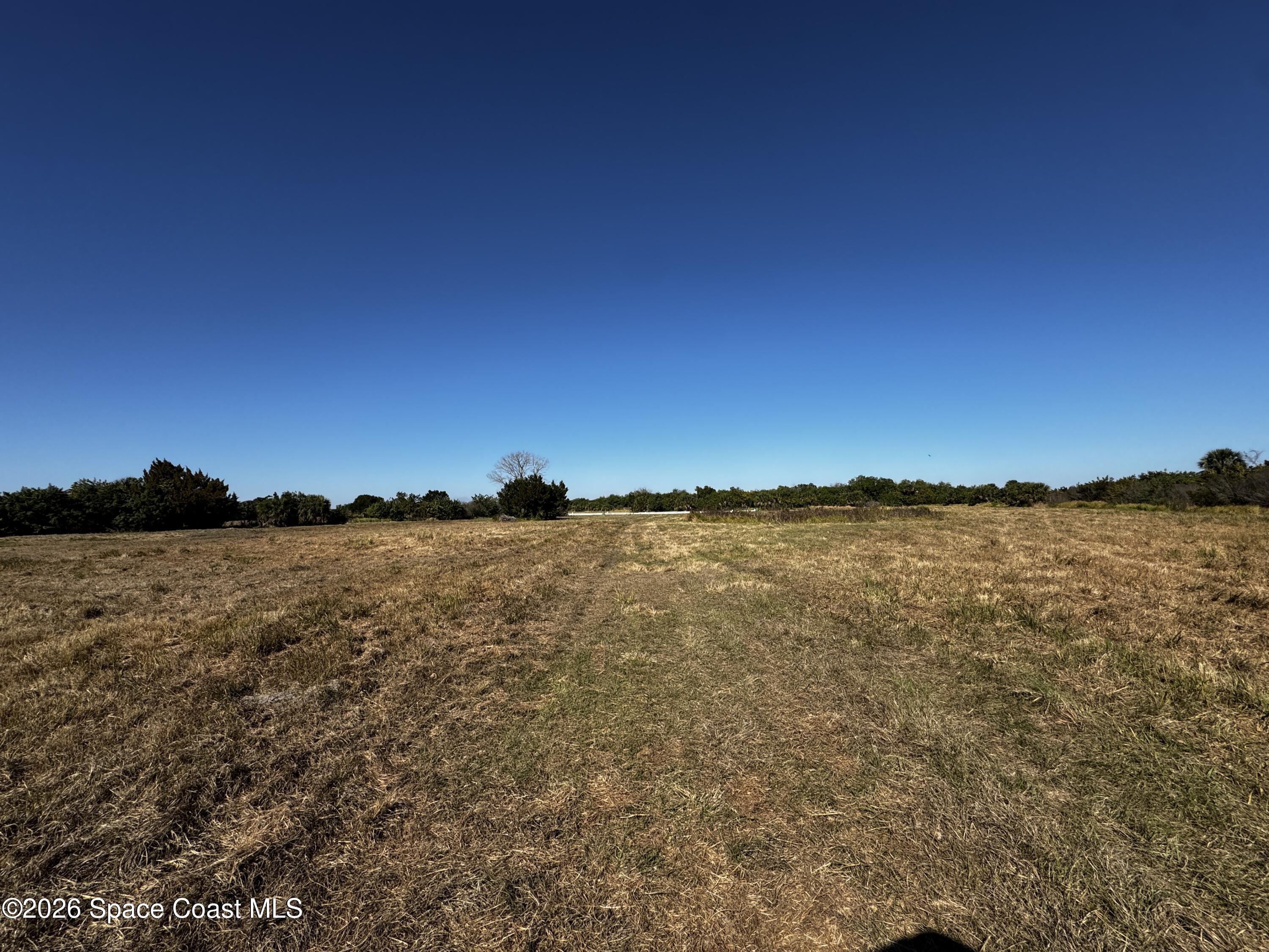 0 Grant Line Road Mims, FL 32754 - Photo 6 of 19 IMG_8238