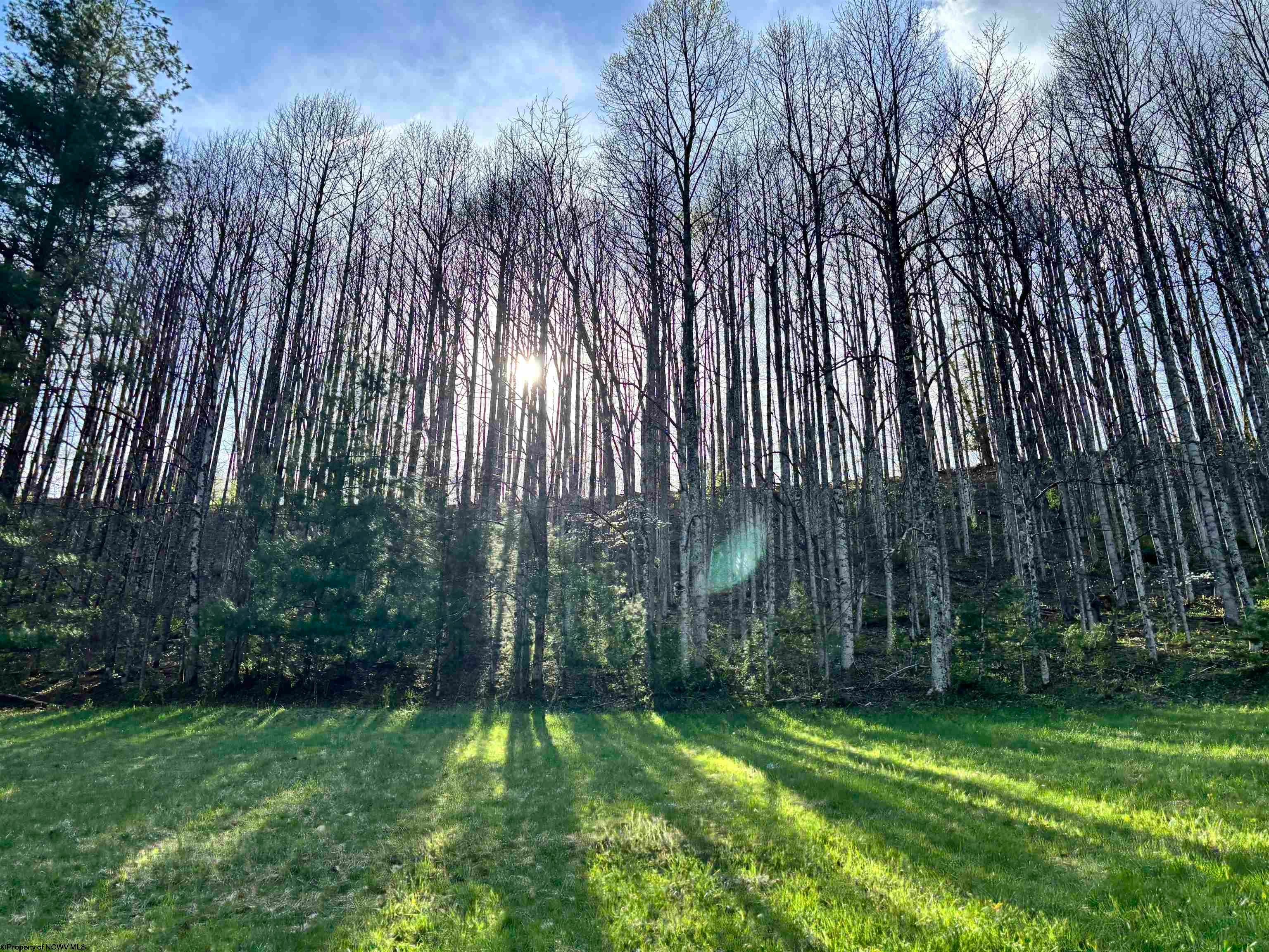 1021 Clover Run Road Montrose, WV 26283 - Photo 21 of 33 Gallery Image 21