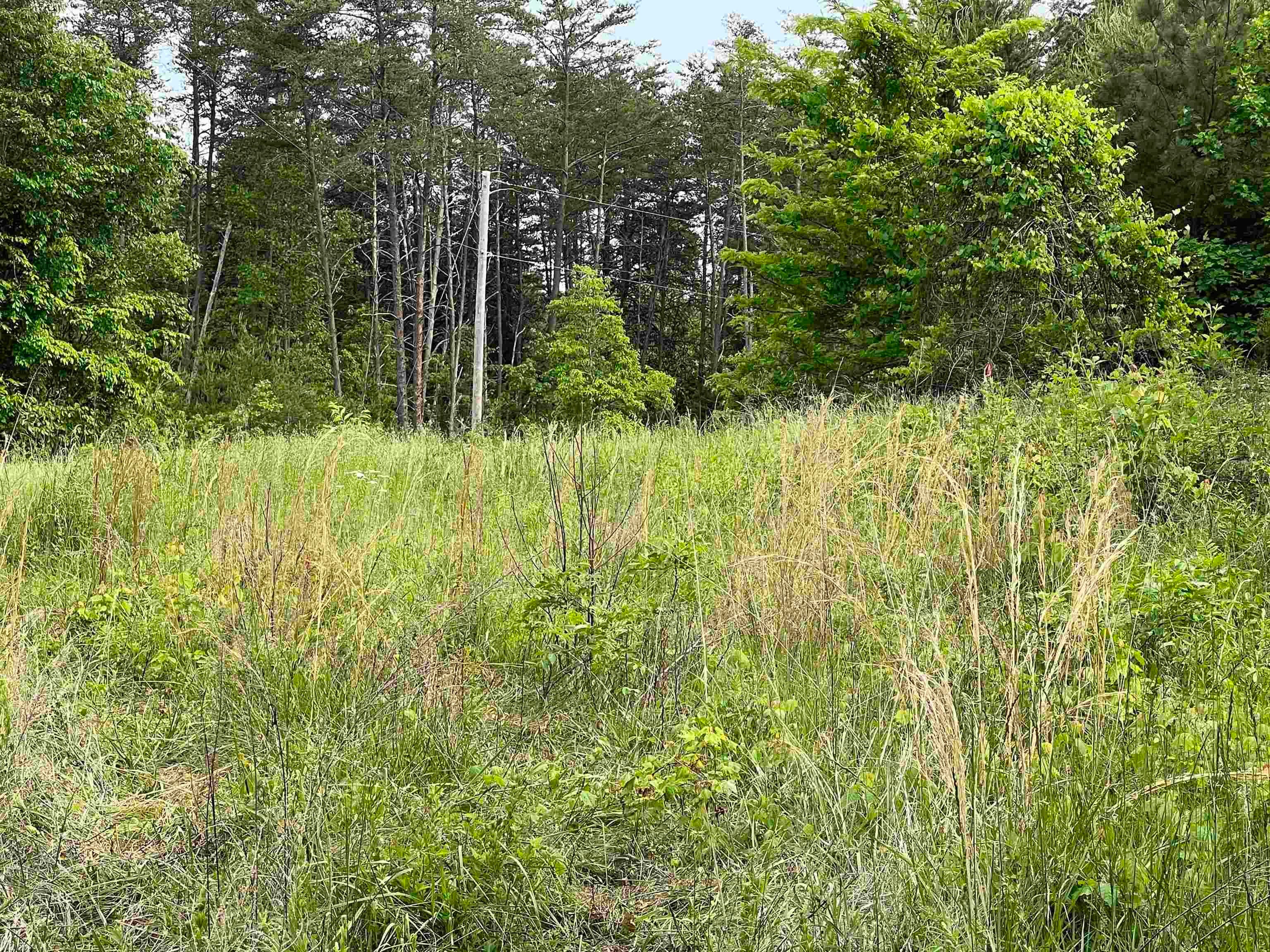 0 Truevine Road Penhook, VA 24137 - Photo 12 of 13 Gallery Image 12