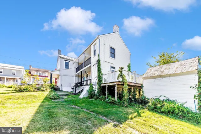 a view of backyard with a potted plant
