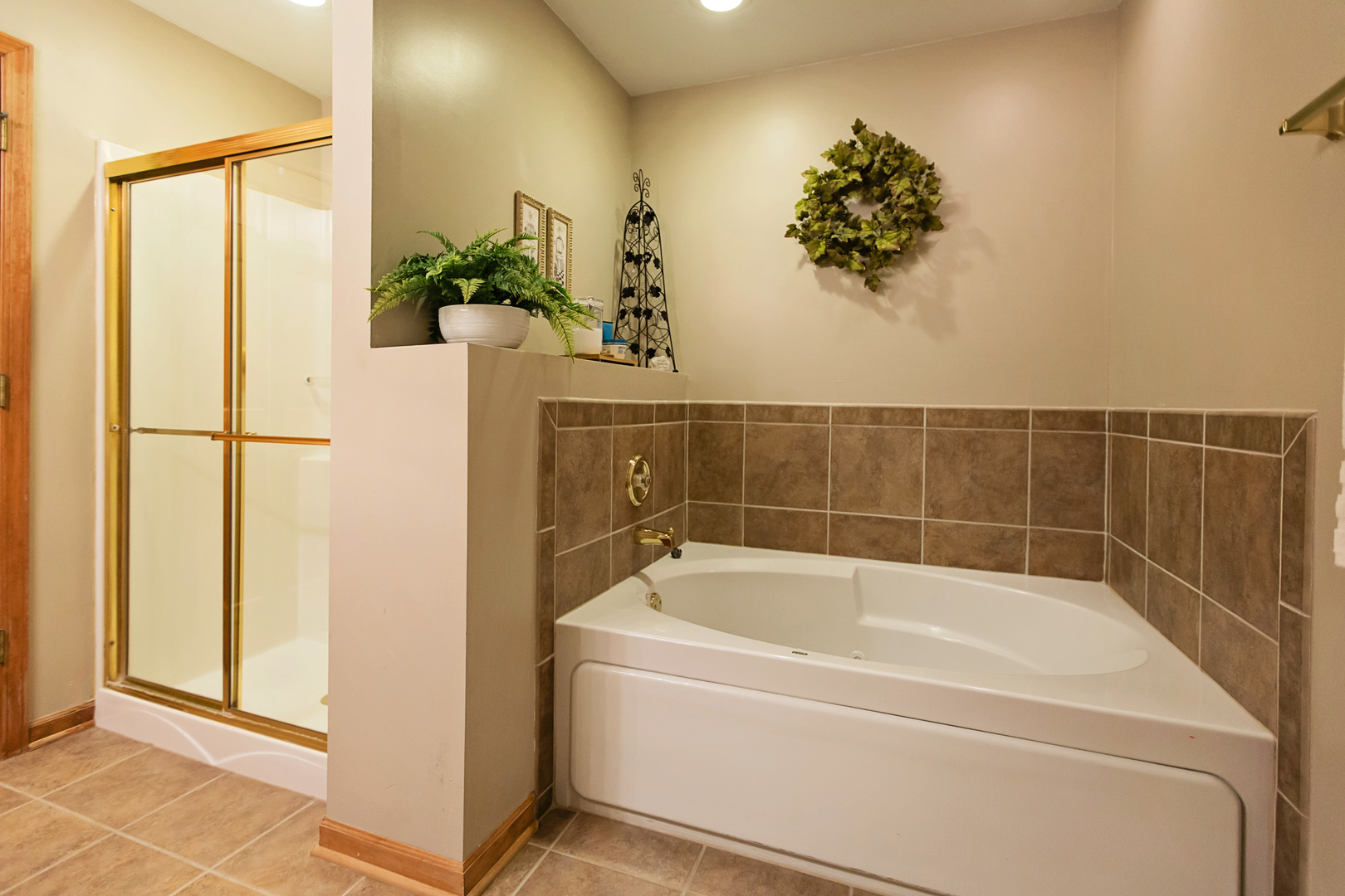380 Ridge Road, Unit 380 North Aurora, IL 60542 - Photo 11 of 17