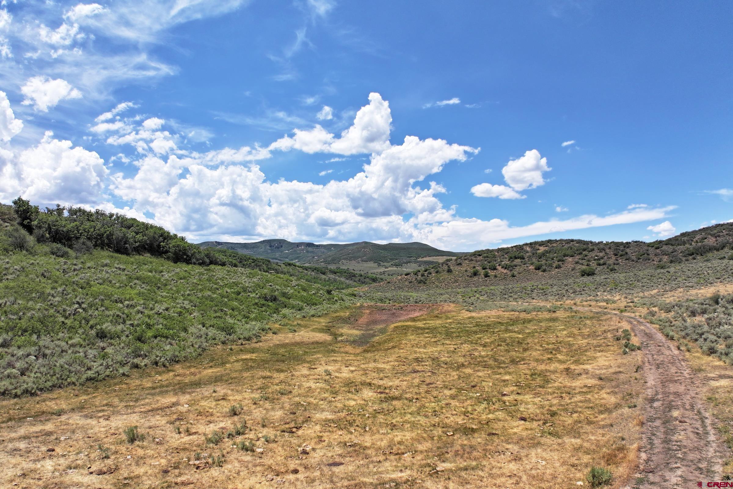 8 Harrison Creek Road Collbran, CO 81624 - Photo 8 of 40 Gallery Image 8