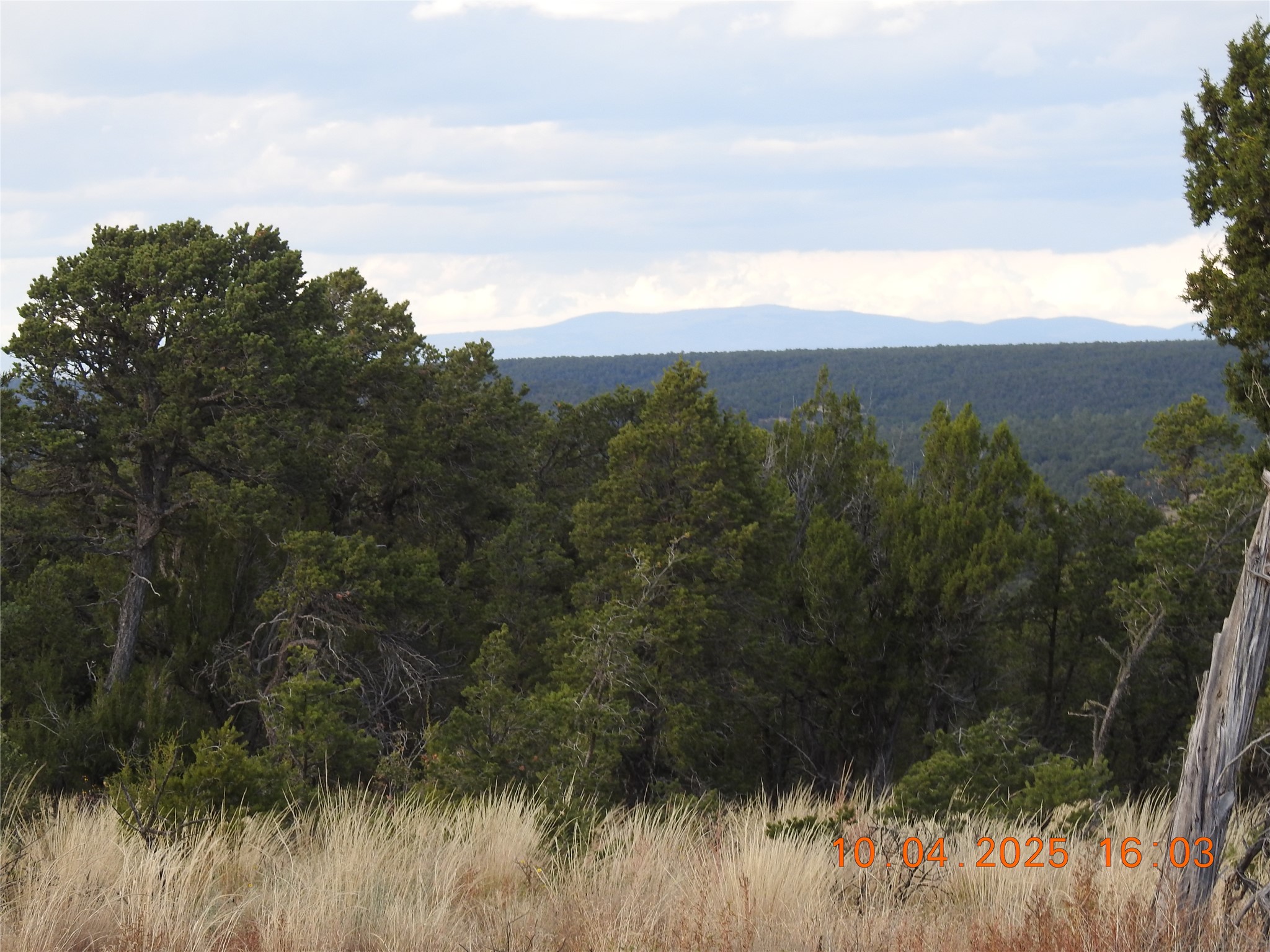 129 Tierra De Dios Ribera, NM 87560 - Photo 2 of 23