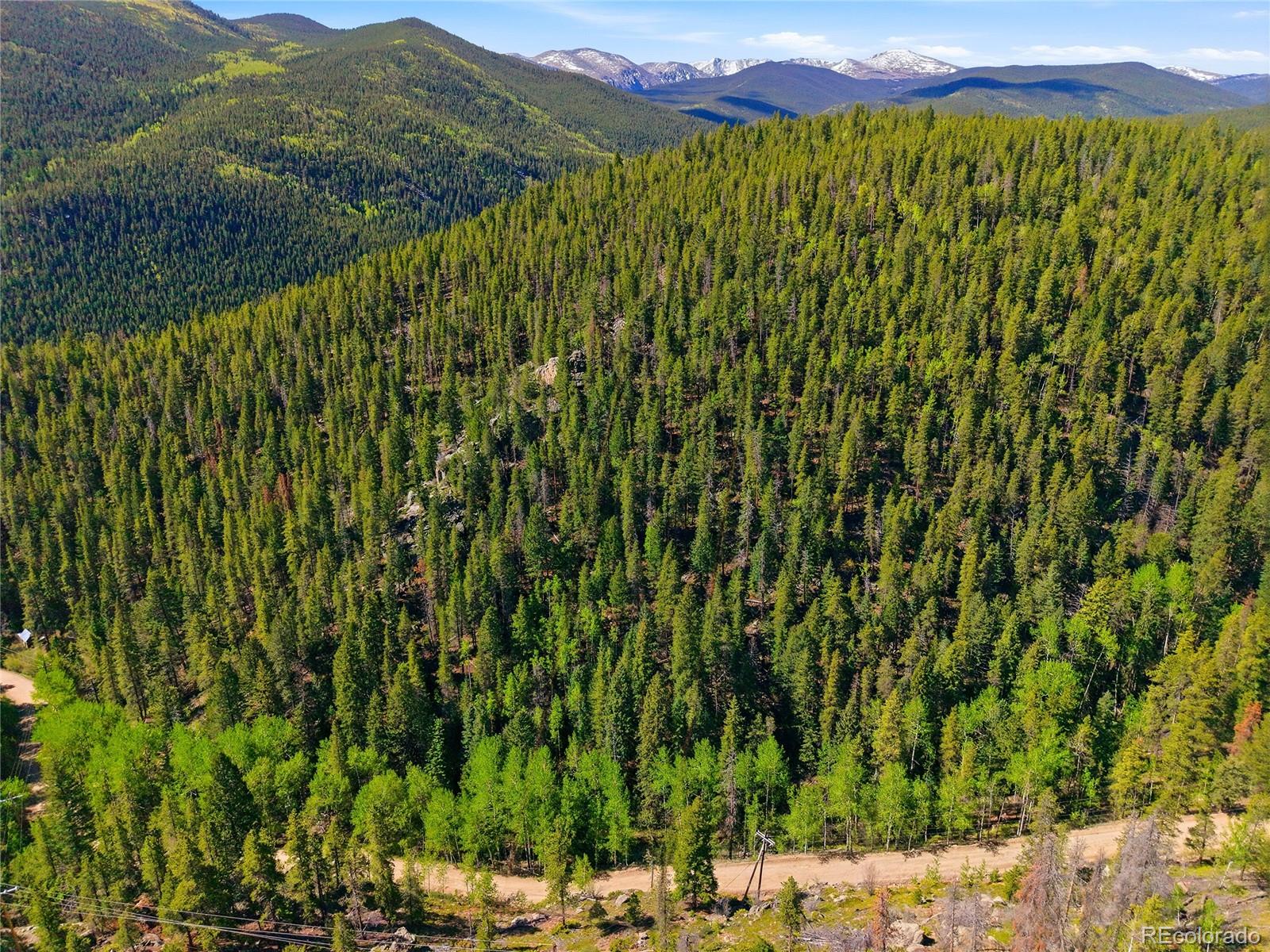 600 Ute Creek Road Idaho Springs, CO 80452 - Photo 4 of 24 a view of a area with a park