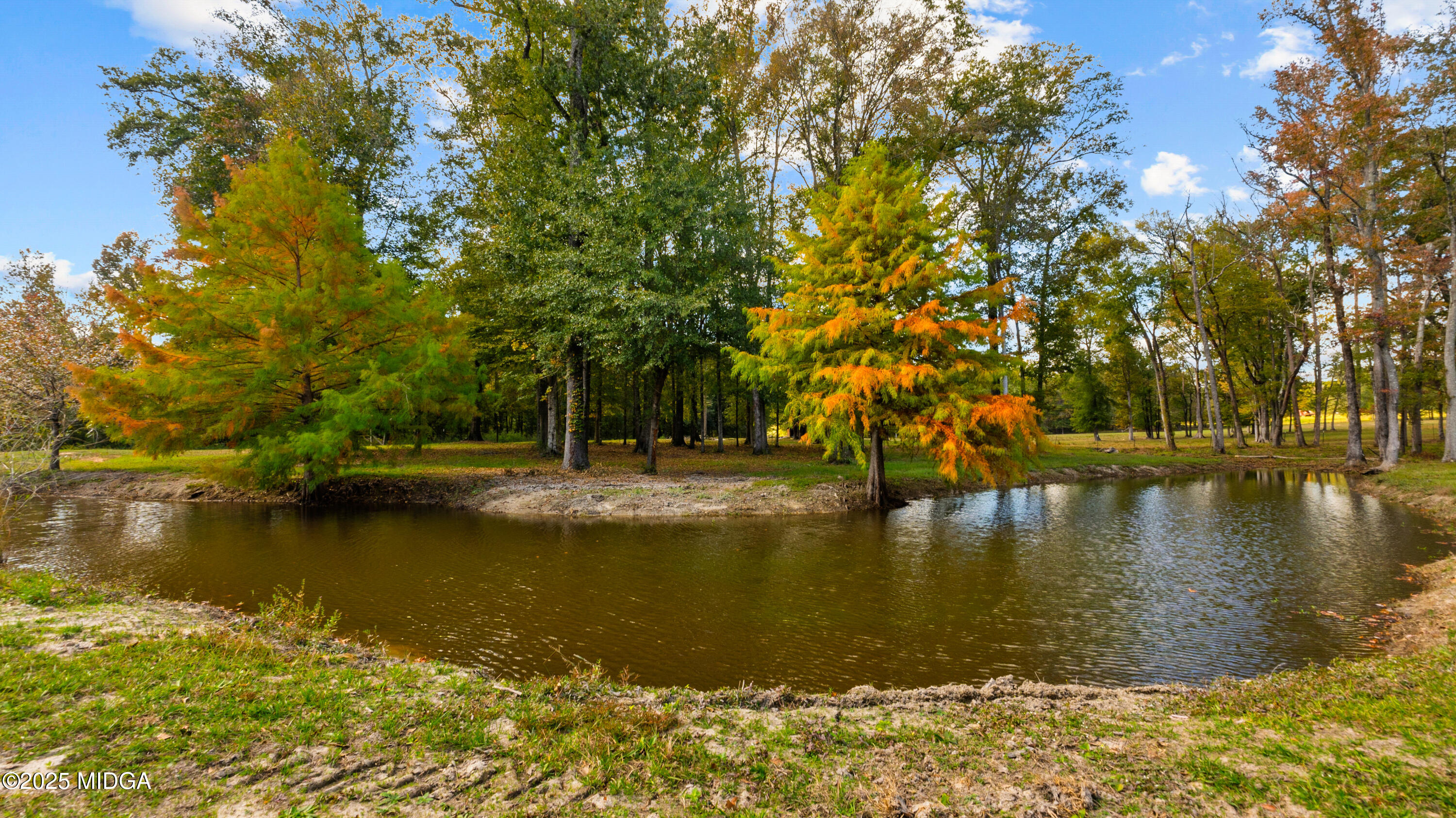 7805 Nowell Road South Macon, GA 31216 - Photo 42 of 88 Photo-43