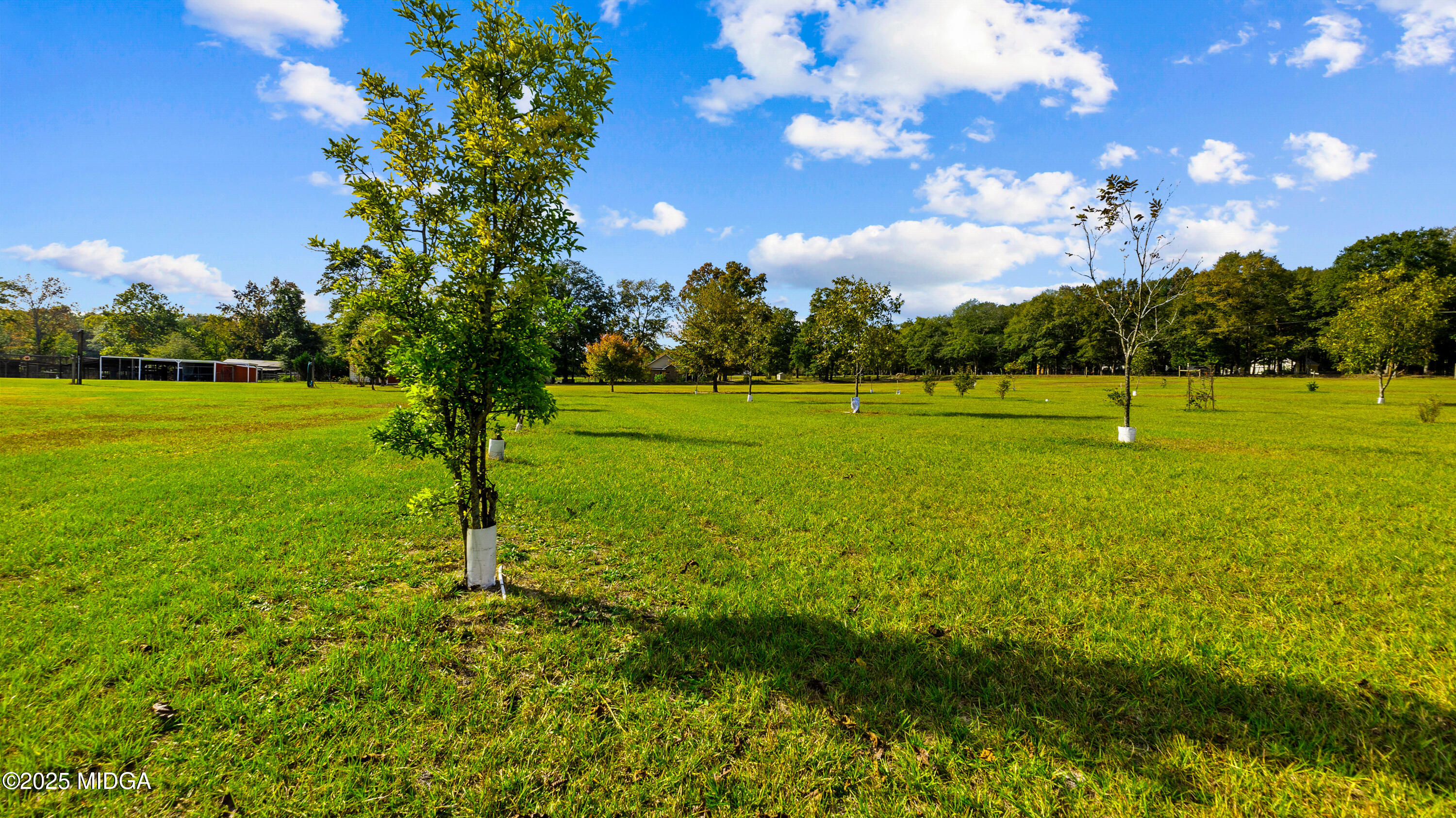 7805 Nowell Road South Macon, GA 31216 - Photo 60 of 88 Photo-7