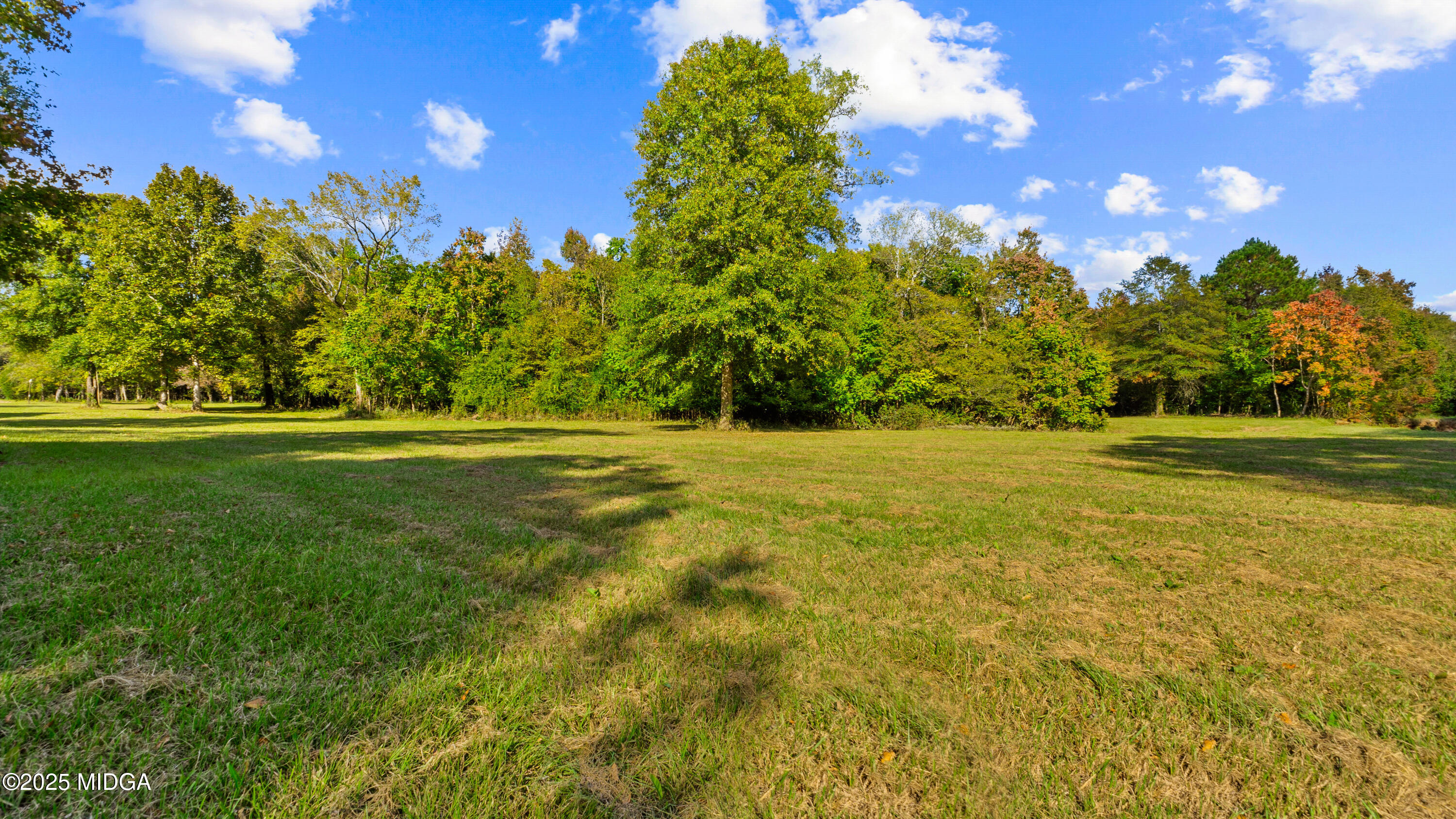 7805 Nowell Road South Macon, GA 31216 - Photo 73 of 88 Photo-53