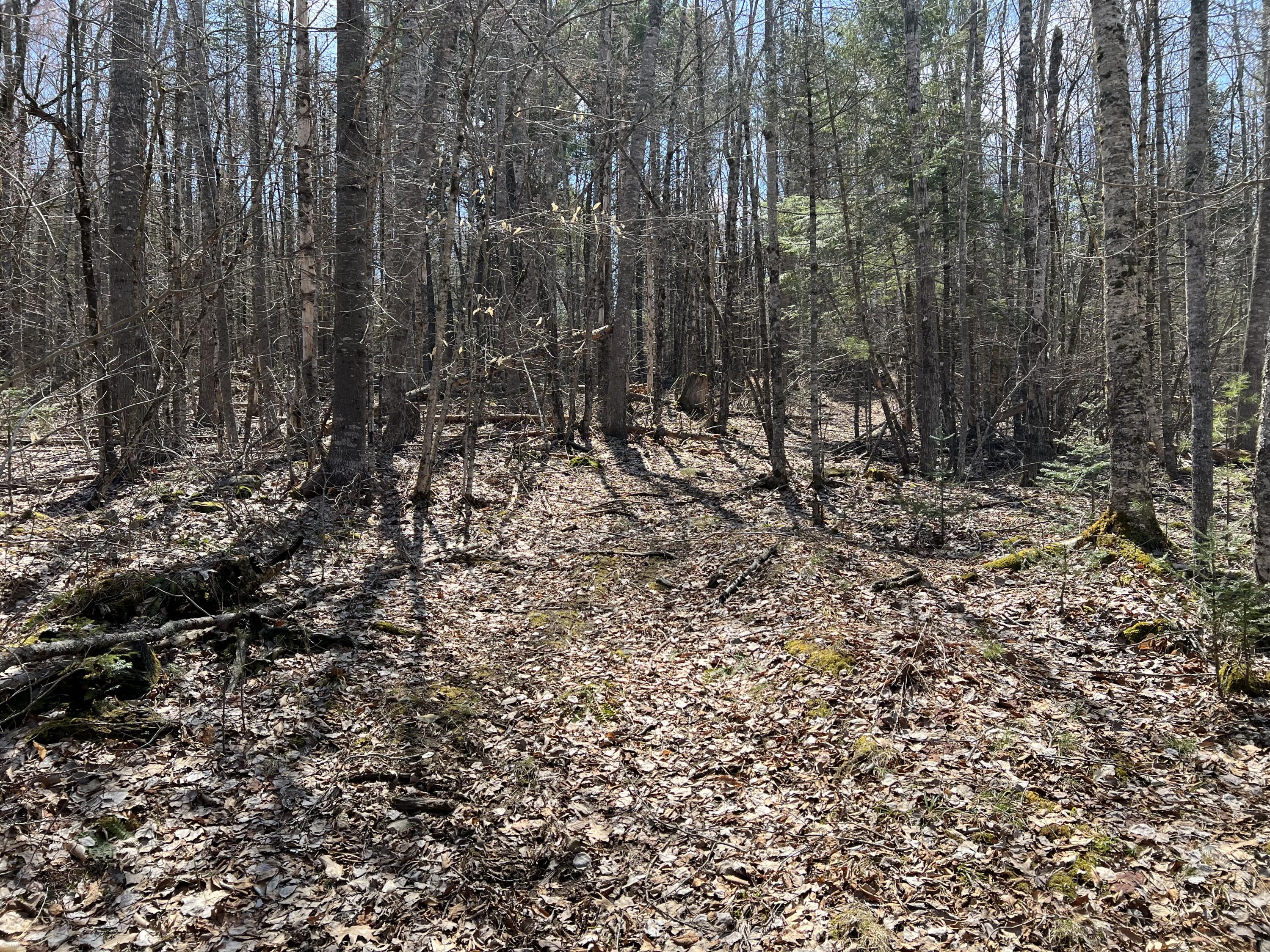 0 Hunk Sawyer Road Bucksport, ME 04416 - Photo 3 of 10 IMG_4614