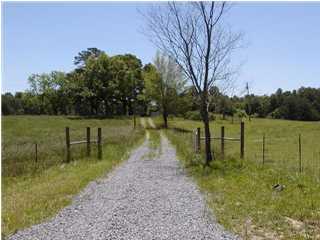 2908 Poe Road Soddy Daisy, TN 37379 - Photo 1 of 4 Primary Photo