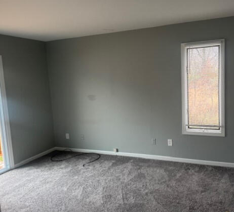 110 Meadows Circle Crown Point, IN 46307 - Photo 6 of 23 462x418