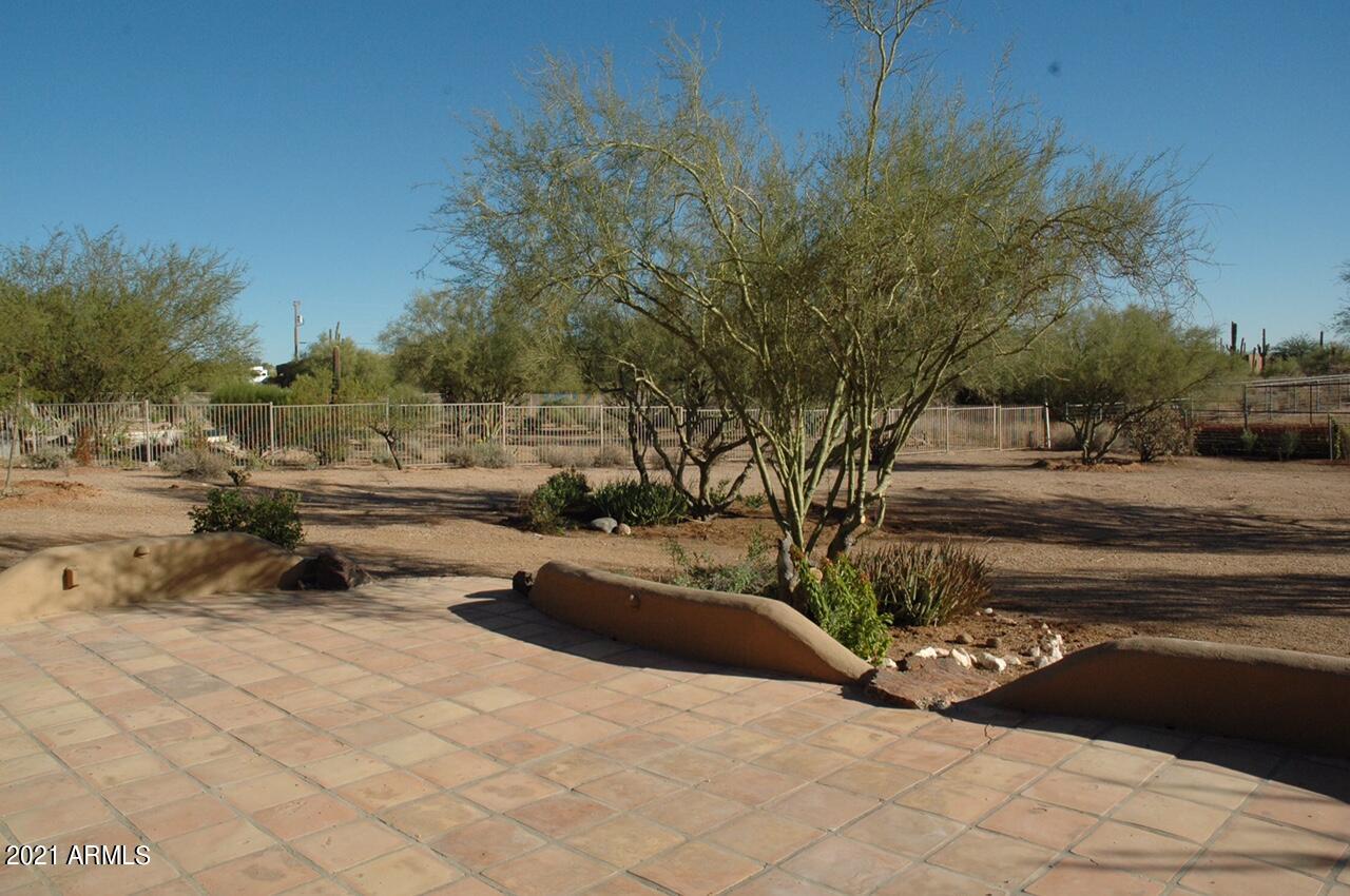 6017 East Rancho Del Oro Drive Cave Creek, AZ 85331 - Photo 12 of 28 a view of street with large tree
