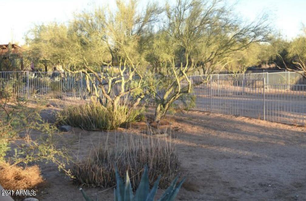 6017 East Rancho Del Oro Drive Cave Creek, AZ 85331 - Photo 16 of 28 a view of a yard