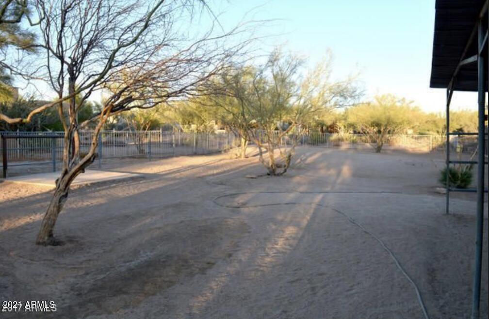 6017 East Rancho Del Oro Drive Cave Creek, AZ 85331 - Photo 18 of 28 a view of a yard with trees in the background