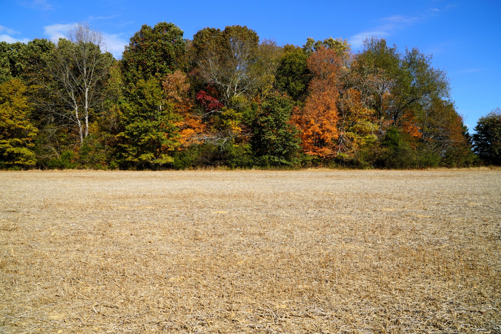 0 Lincoln Loop Flintville, TN 37335 - Photo 1 of 34 a view of an ocean