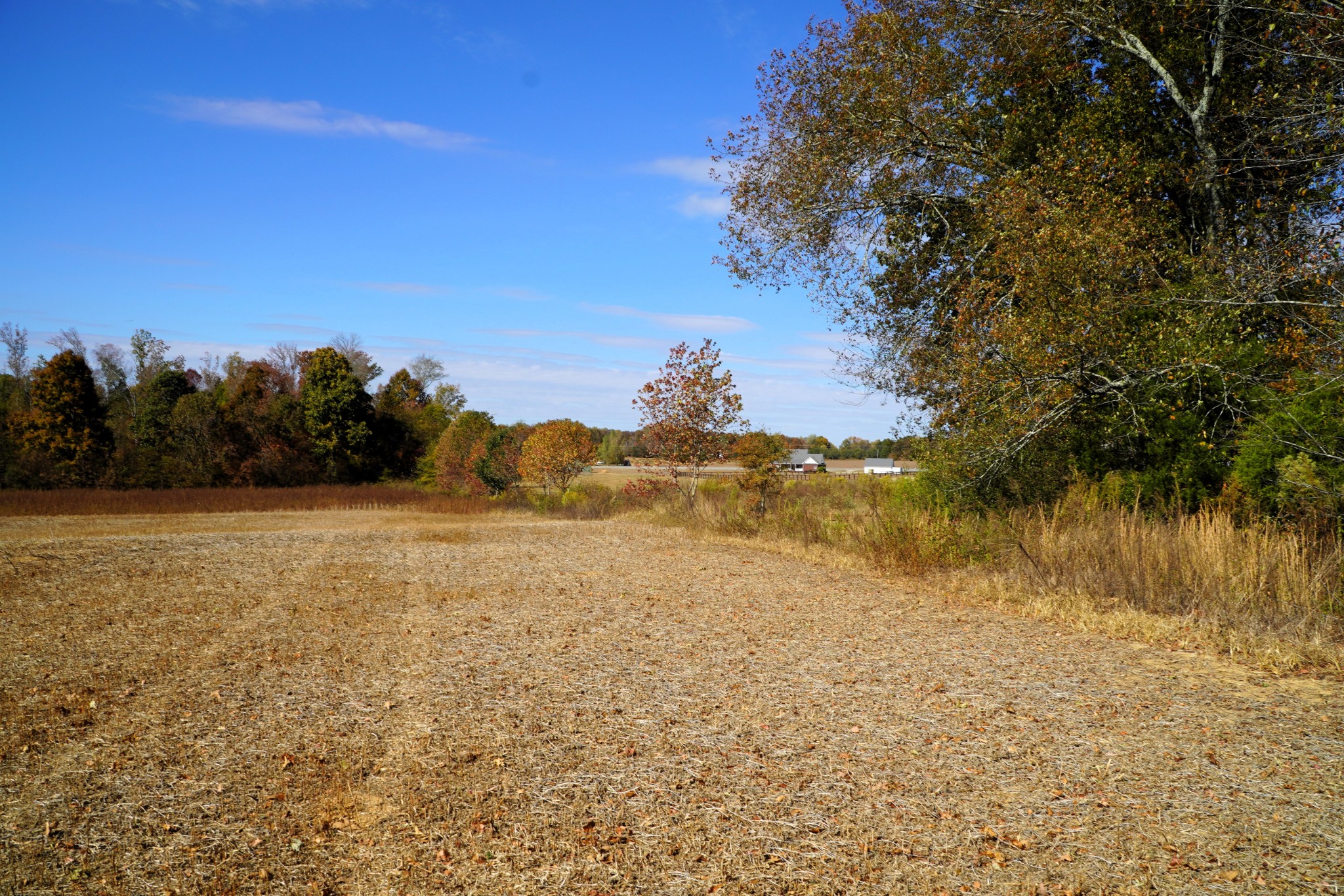 0 Lincoln Loop Flintville, TN 37335 - Photo 18 of 34 a view of lake
