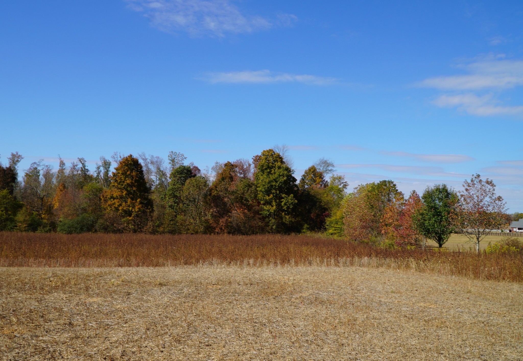0 Lincoln Loop Flintville, TN 37335 - Photo 20 of 34 a view of a lake