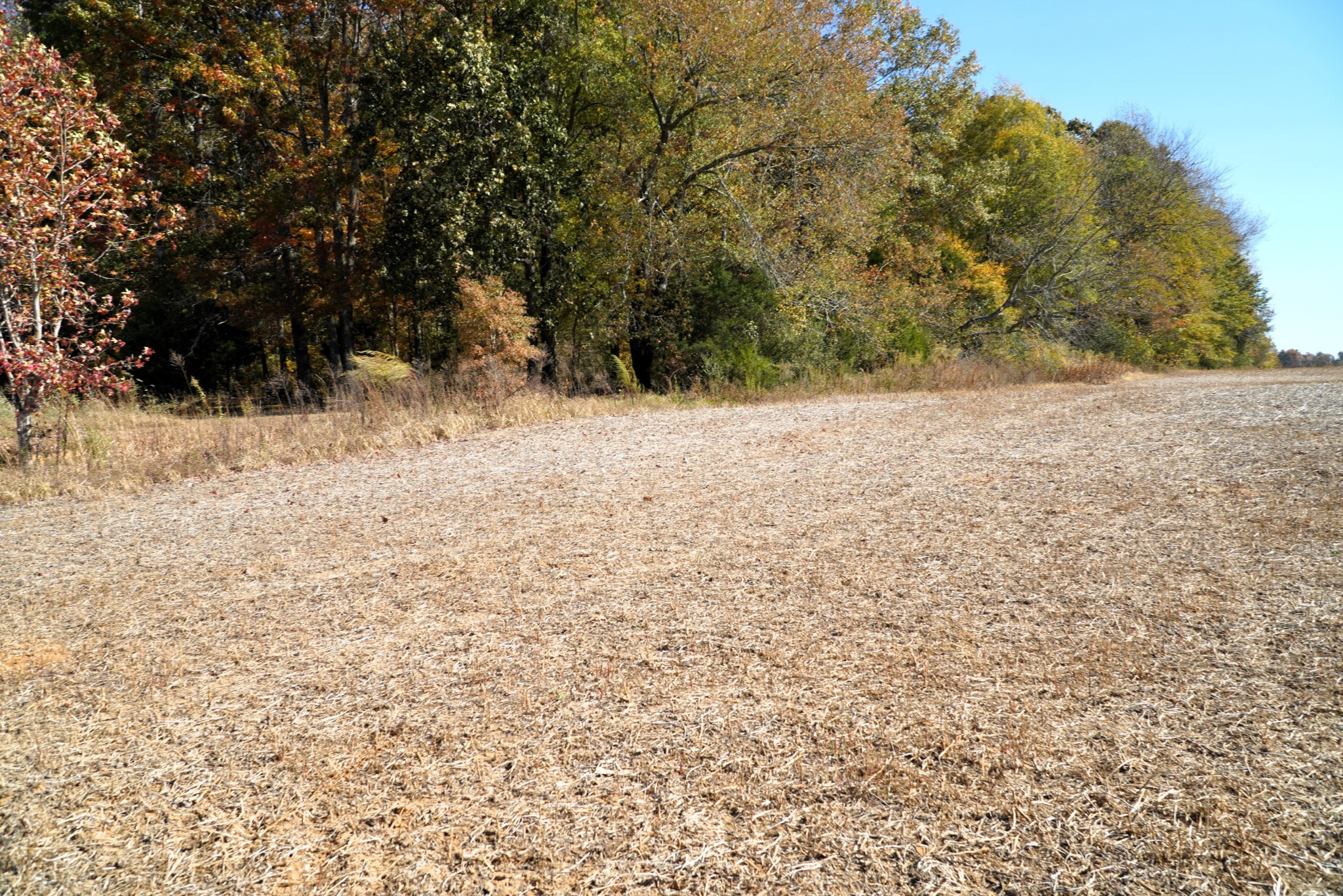 0 Lincoln Loop Flintville, TN 37335 - Photo 21 of 34 a view of empty space and a yard