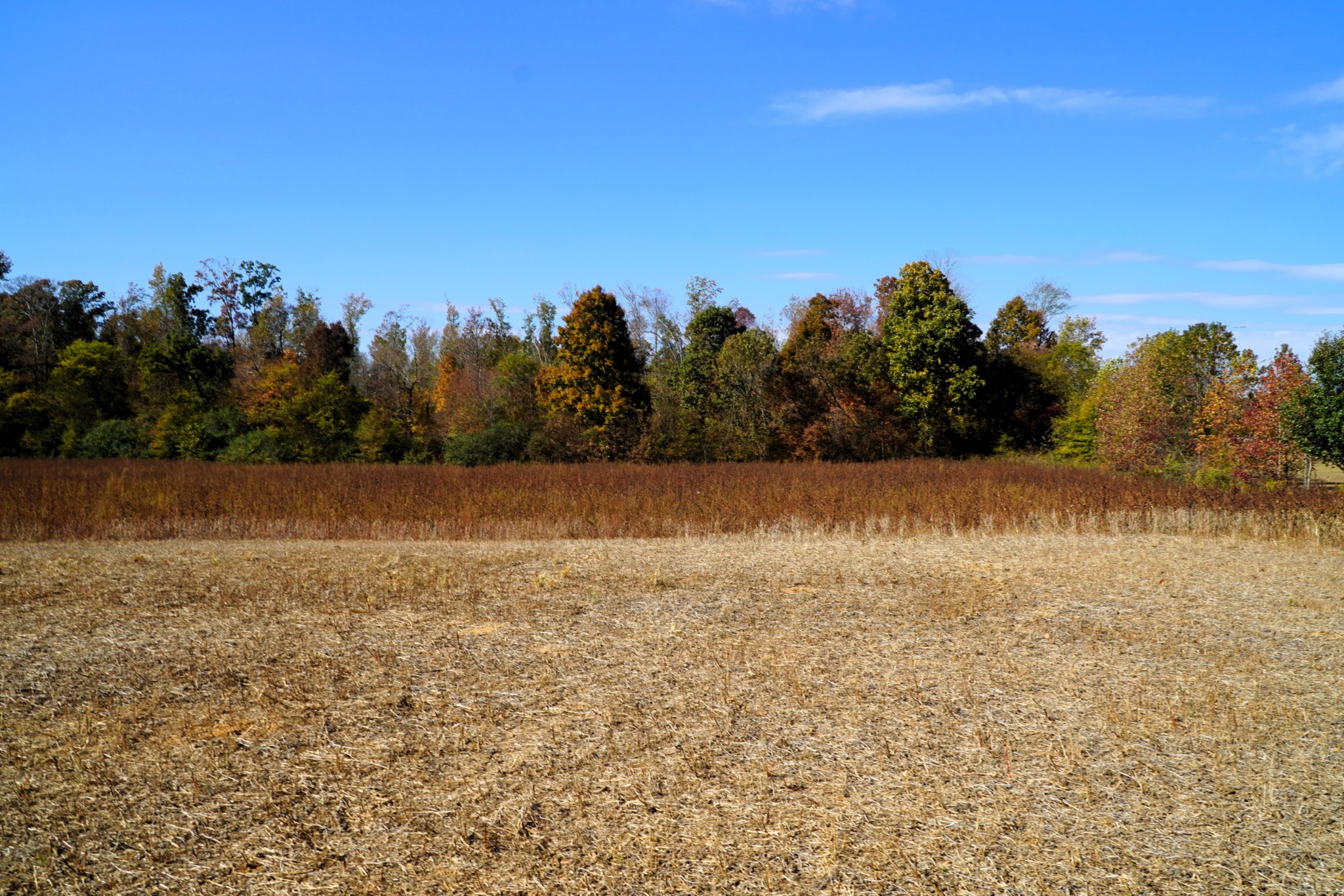 0 Lincoln Loop Flintville, TN 37335 - Photo 26 of 34 a view of a lake