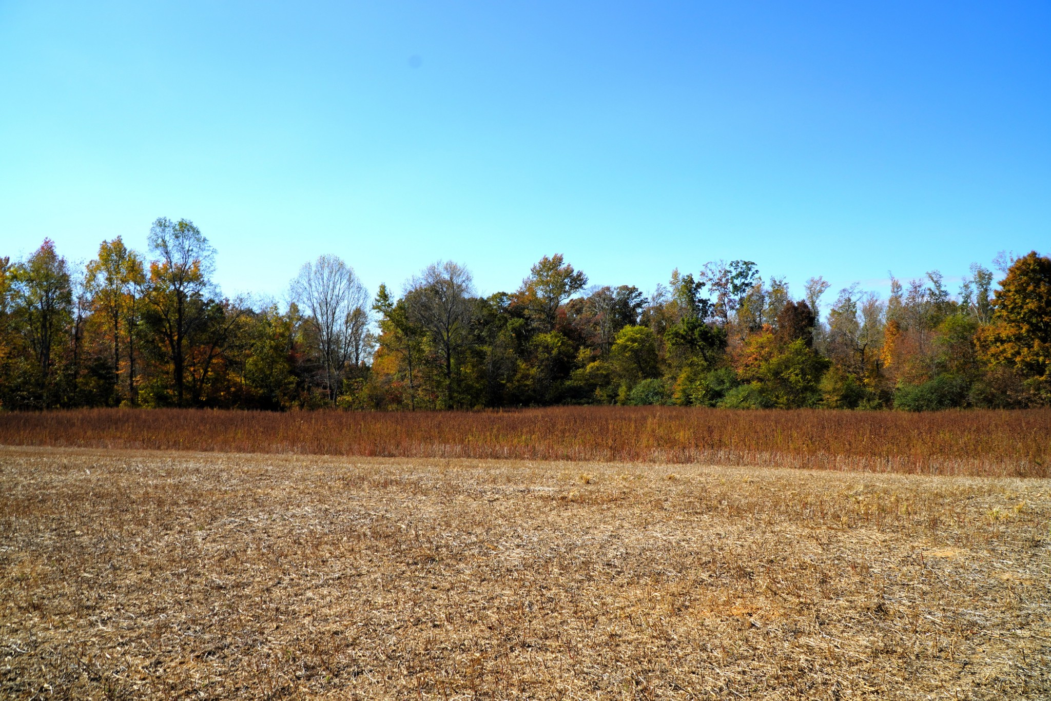 0 Lincoln Loop Flintville, TN 37335 - Photo 27 of 34 a view of outdoor space and yard