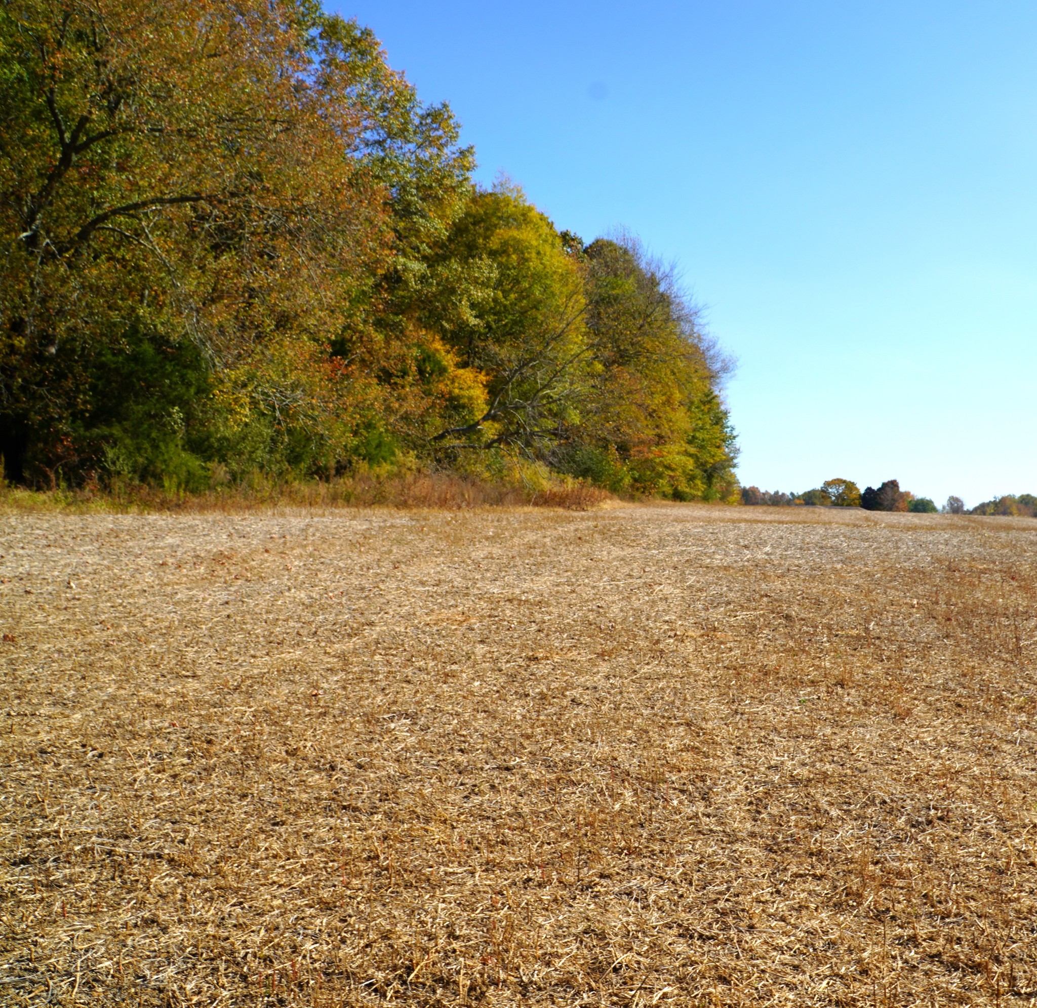 0 Lincoln Loop Flintville, TN 37335 - Photo 28 of 34 a view of a lake view