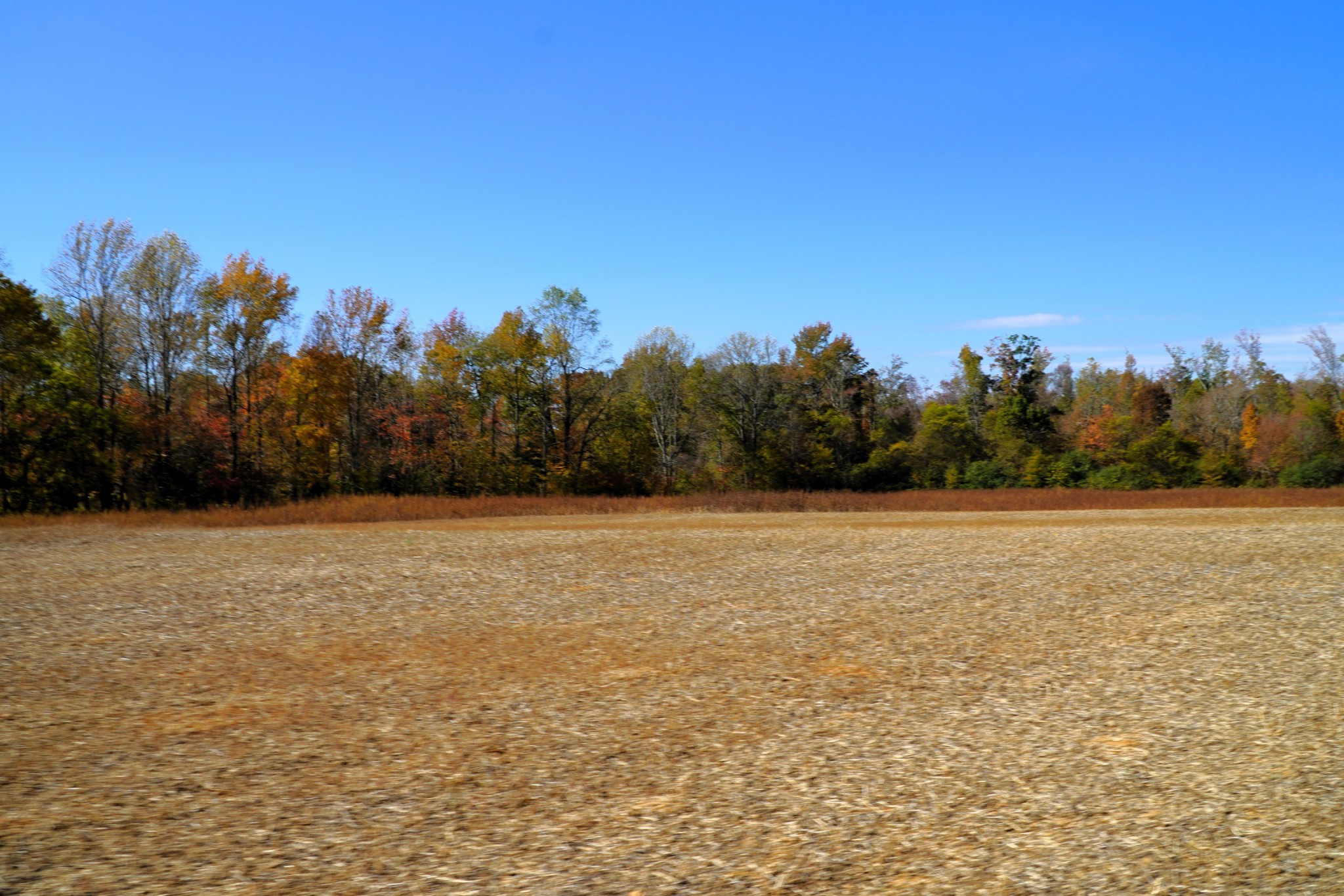0 Lincoln Loop Flintville, TN 37335 - Photo 32 of 34 a view of a field with trees in background