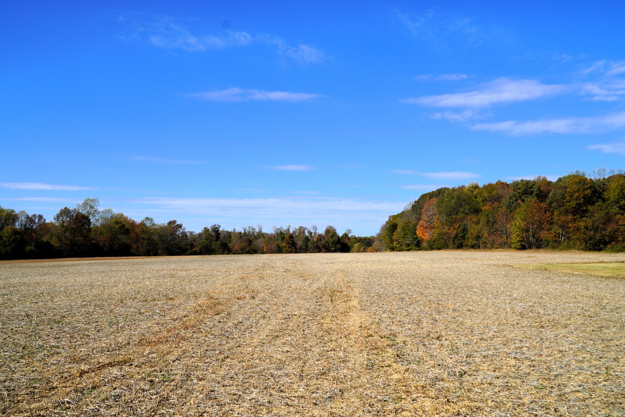 0 Lincoln Loop Flintville, TN 37335 - Photo 6 of 34 a view of yard with ocean view
