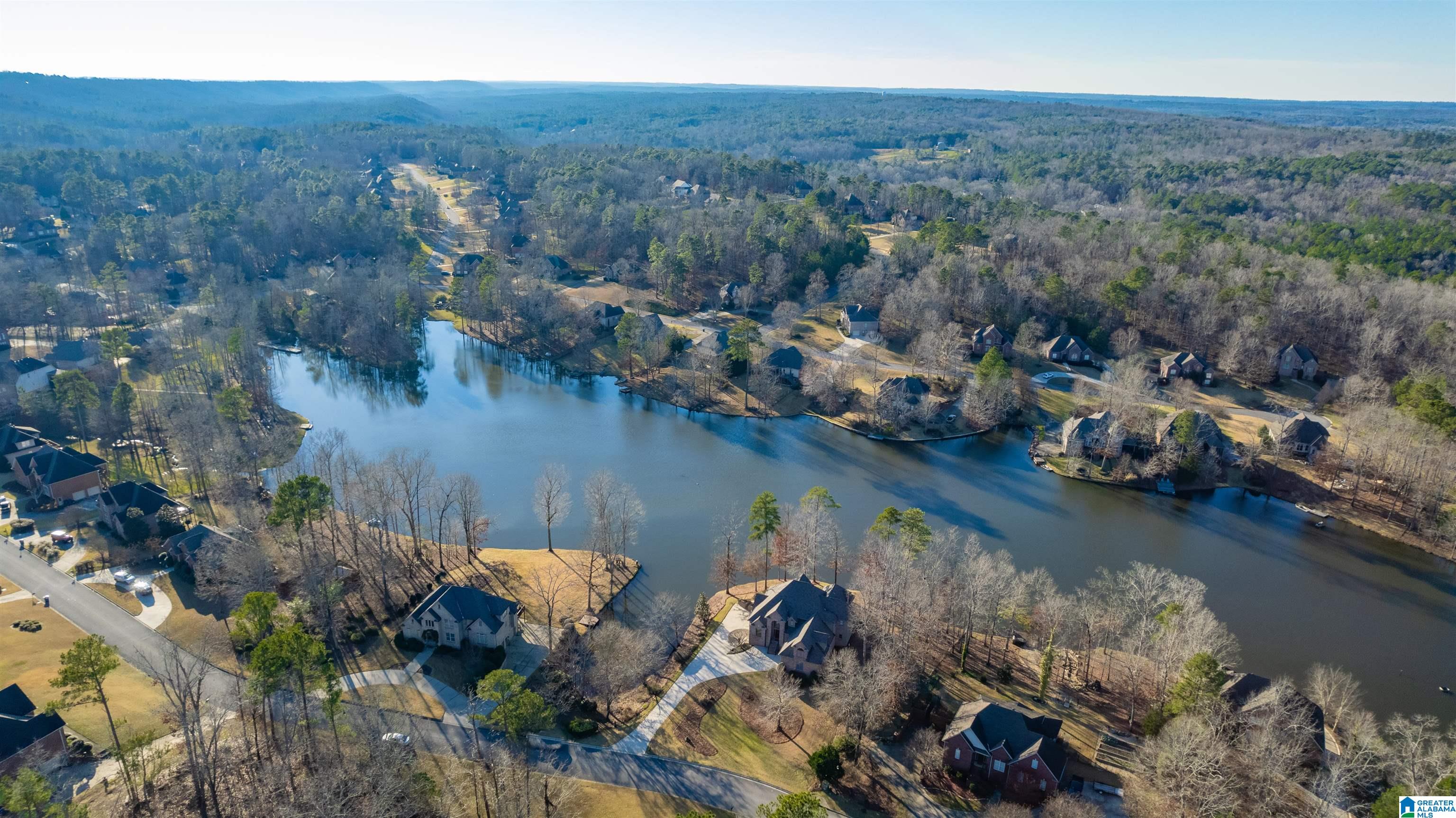 8451 Shoreside Lane Helena, AL 35022 - Photo 6 of 46