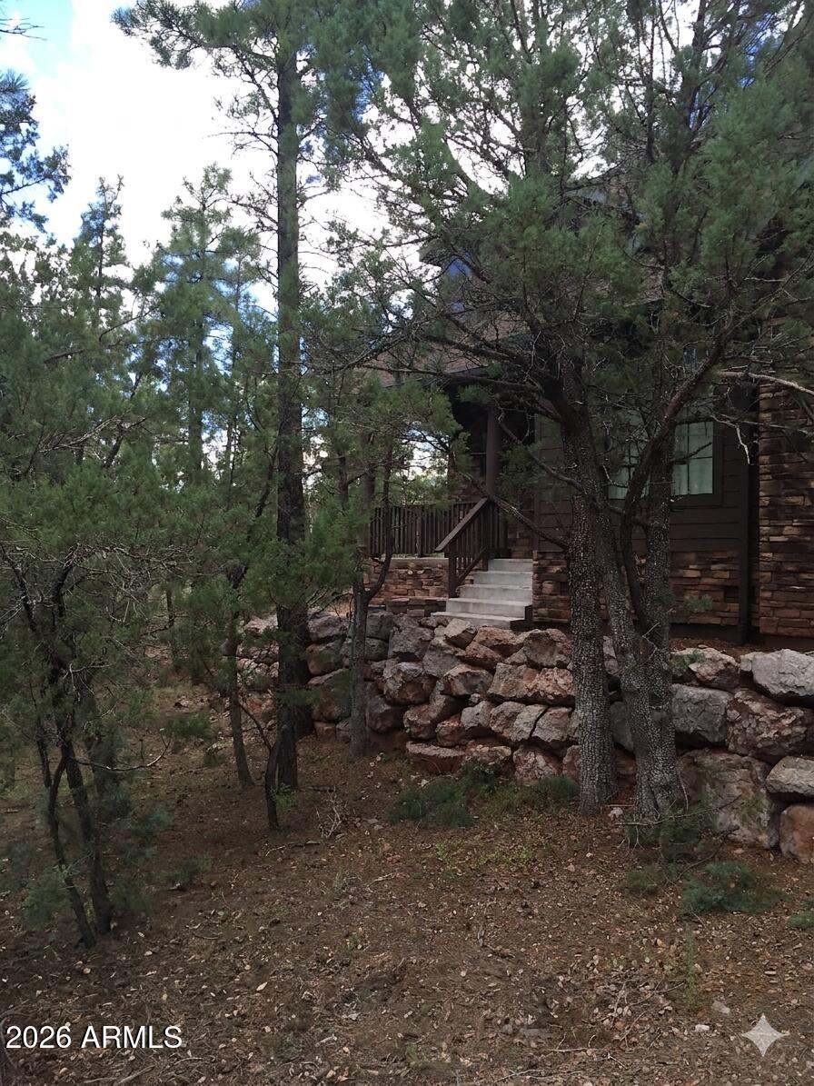243 Oak Drive Payson, AZ 85541 - Photo 3 of 24 a view of a forest with lots of trees