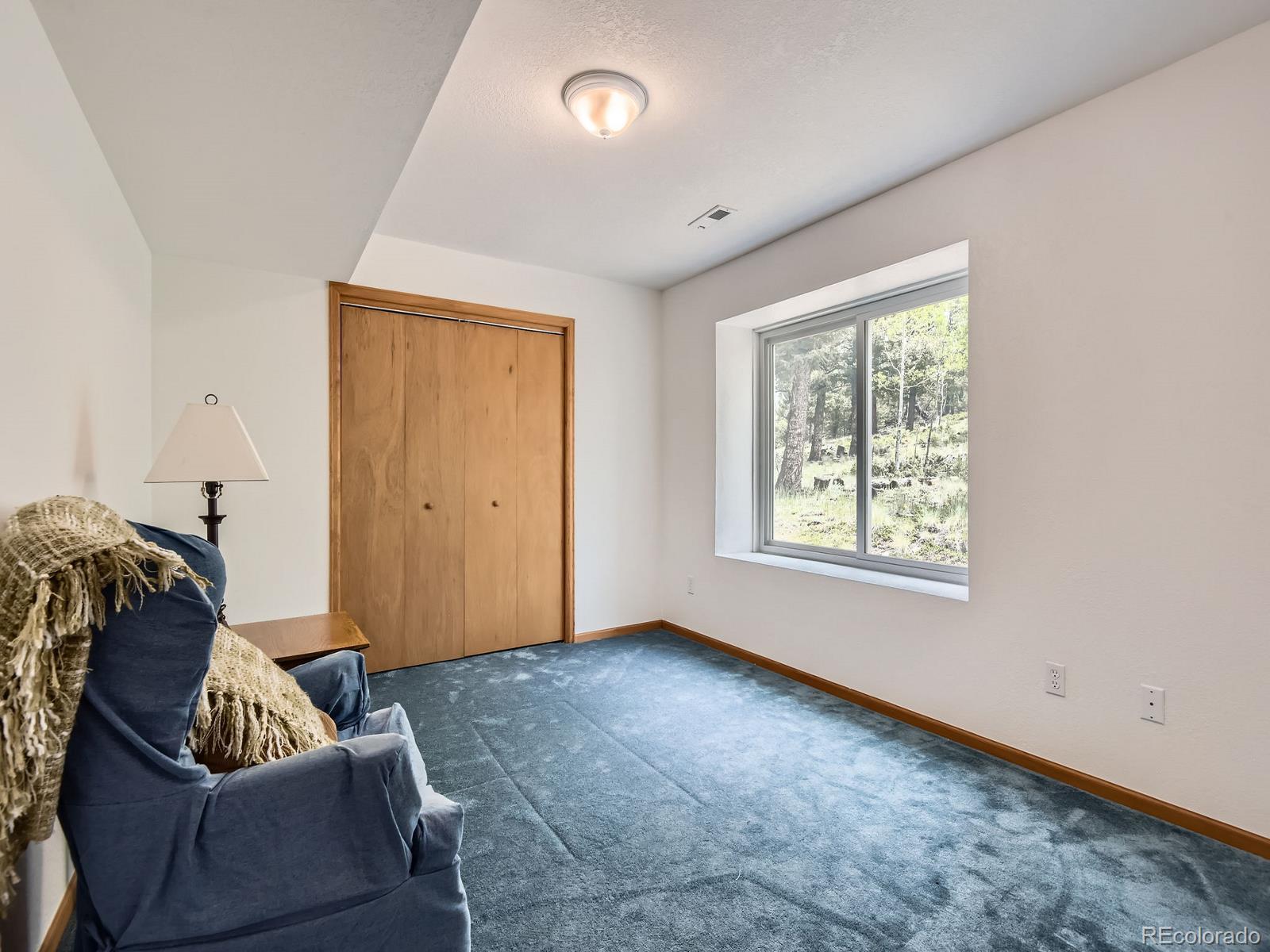 52 Branding Iron Lane Bailey, CO 80421 - Photo 15 of 29 a living room with furniture and a window