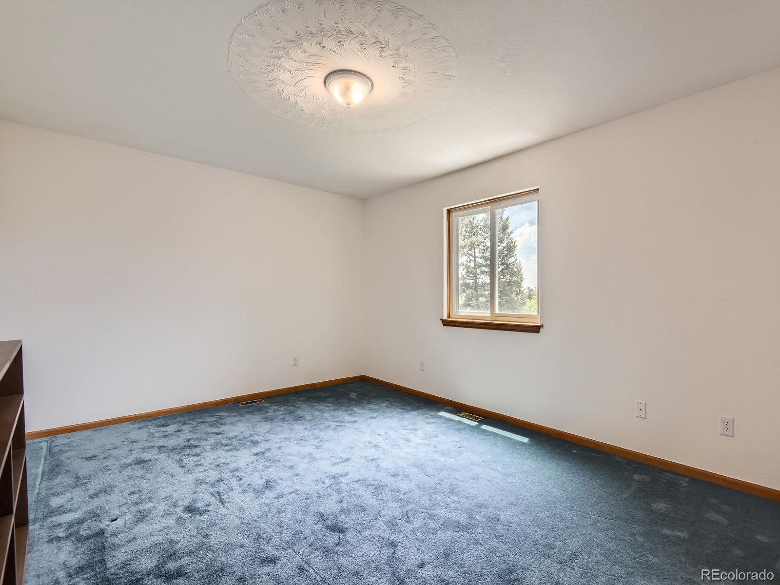 52 Branding Iron Lane Bailey, CO 80421 - Photo 23 of 29