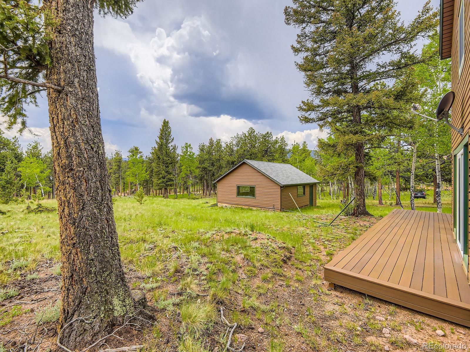 52 Branding Iron Lane Bailey, CO 80421 - Photo 26 of 29 a view of a house with a yard