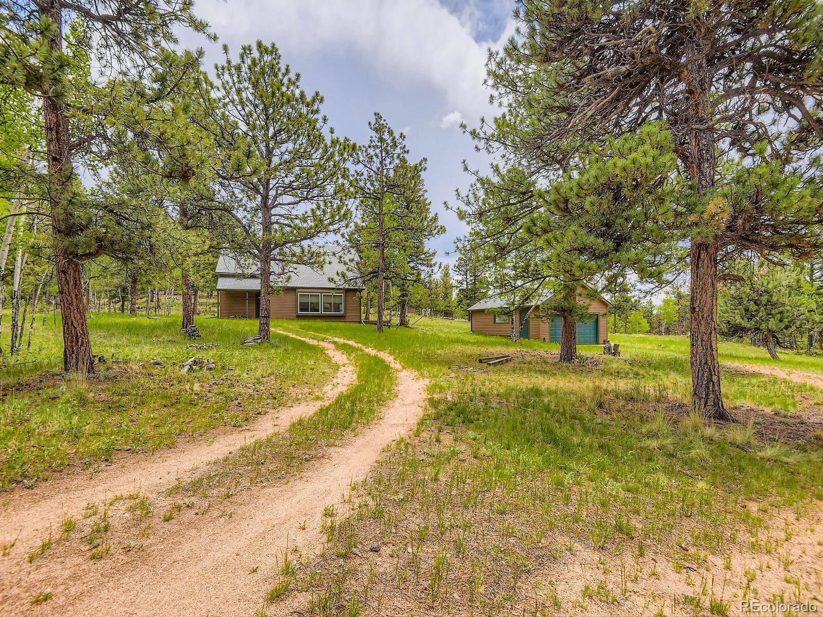 52 Branding Iron Lane Bailey, CO 80421 - Photo 4 of 29 a view of yard with swimming pool