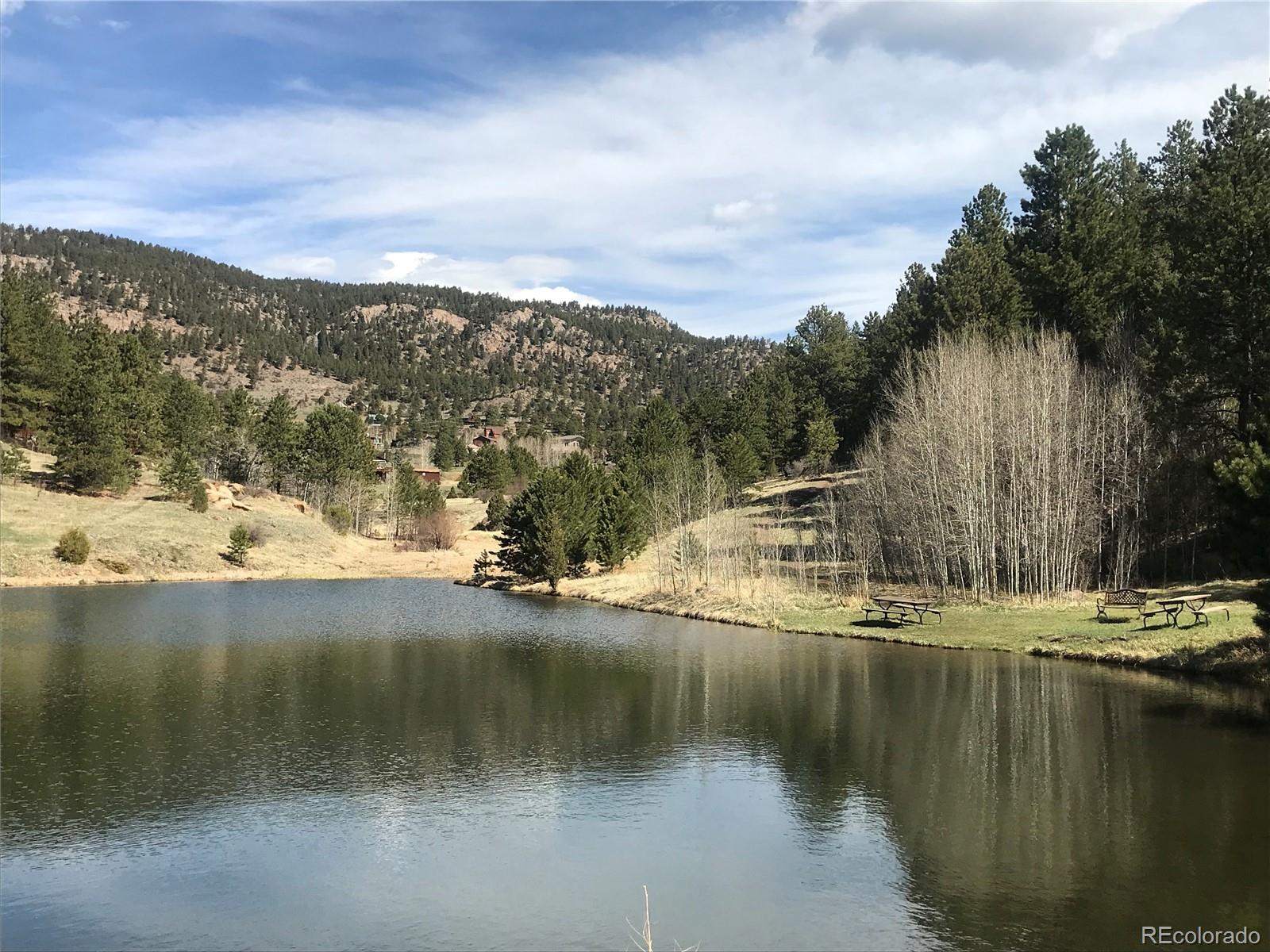 65 Silver Springs Road Bailey, CO 80421 - Photo 31 of 31 Gallery Image 31