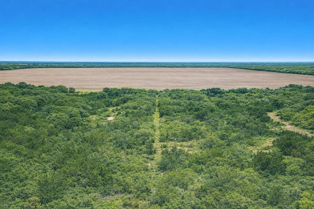 0 County Road, Unit 136 Hamlin, TX 79520 - Photo 2 of 6 Gallery Image 2