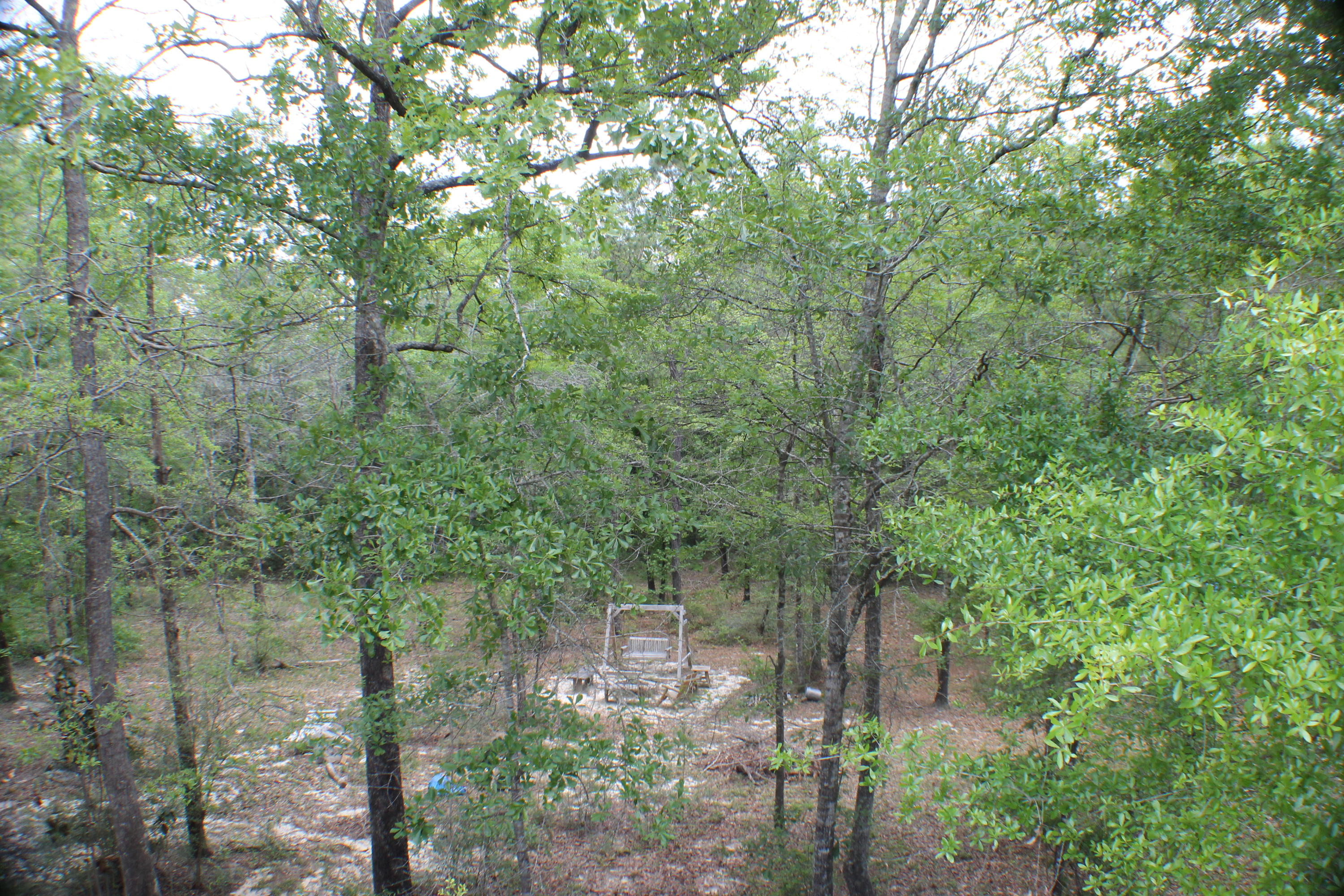 185 Pleasant Ridge Road DeFuniak Springs, FL 32435 - Photo 28 of 33 IMG_0147