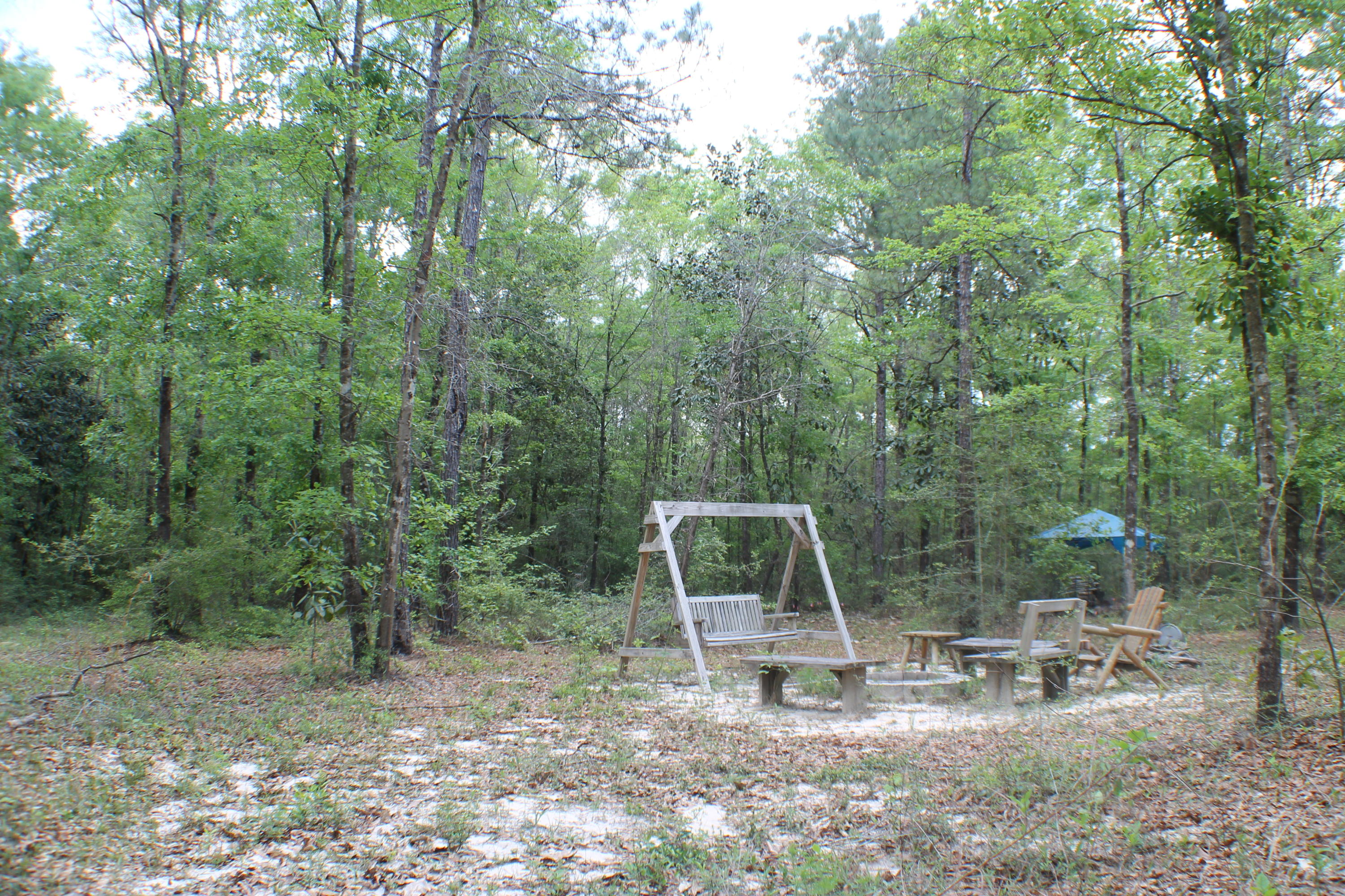 185 Pleasant Ridge Road DeFuniak Springs, FL 32435 - Photo 29 of 33 IMG_0141