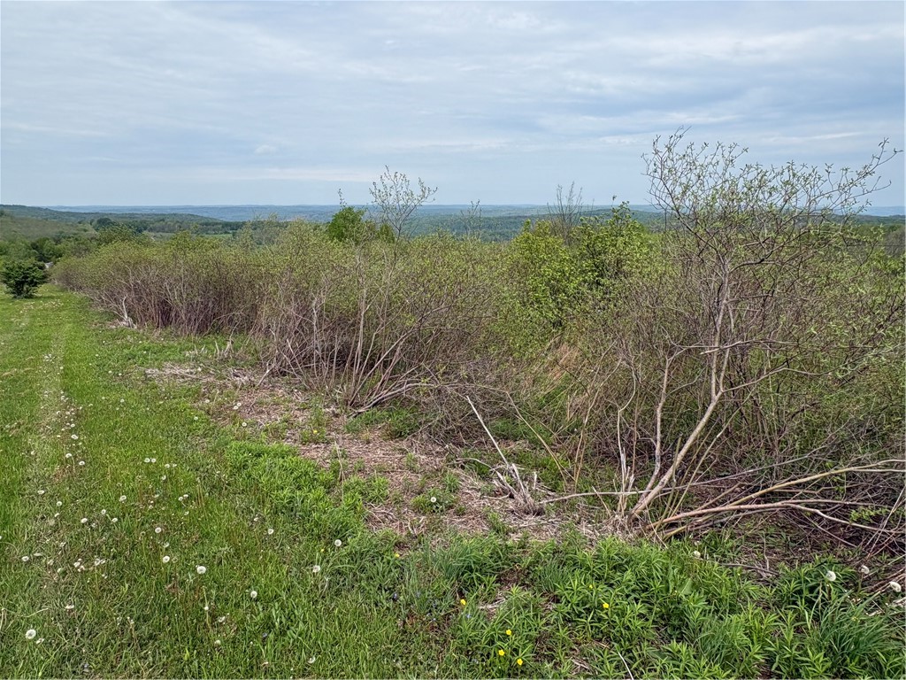 Wahlberg Road Guilford, NY 13780 - Photo 17 of 25