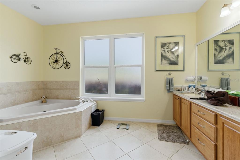 3510 Hunters Trail Circle Eustis, FL 32726 - Photo 17 of 26 a bathroom with a tub sink and mirror