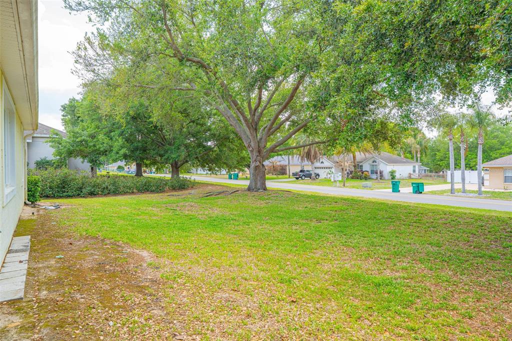 3510 Hunters Trail Circle Eustis, FL 32726 - Photo 25 of 26 a view of yard with tree s