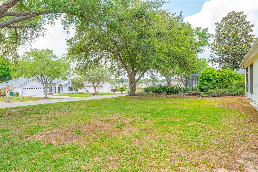 3510 Hunters Trail Circle Eustis, FL 32726 - Photo 26 of 26 a view of garden with trees