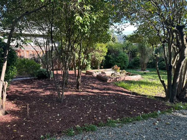 a view of yard with tree s